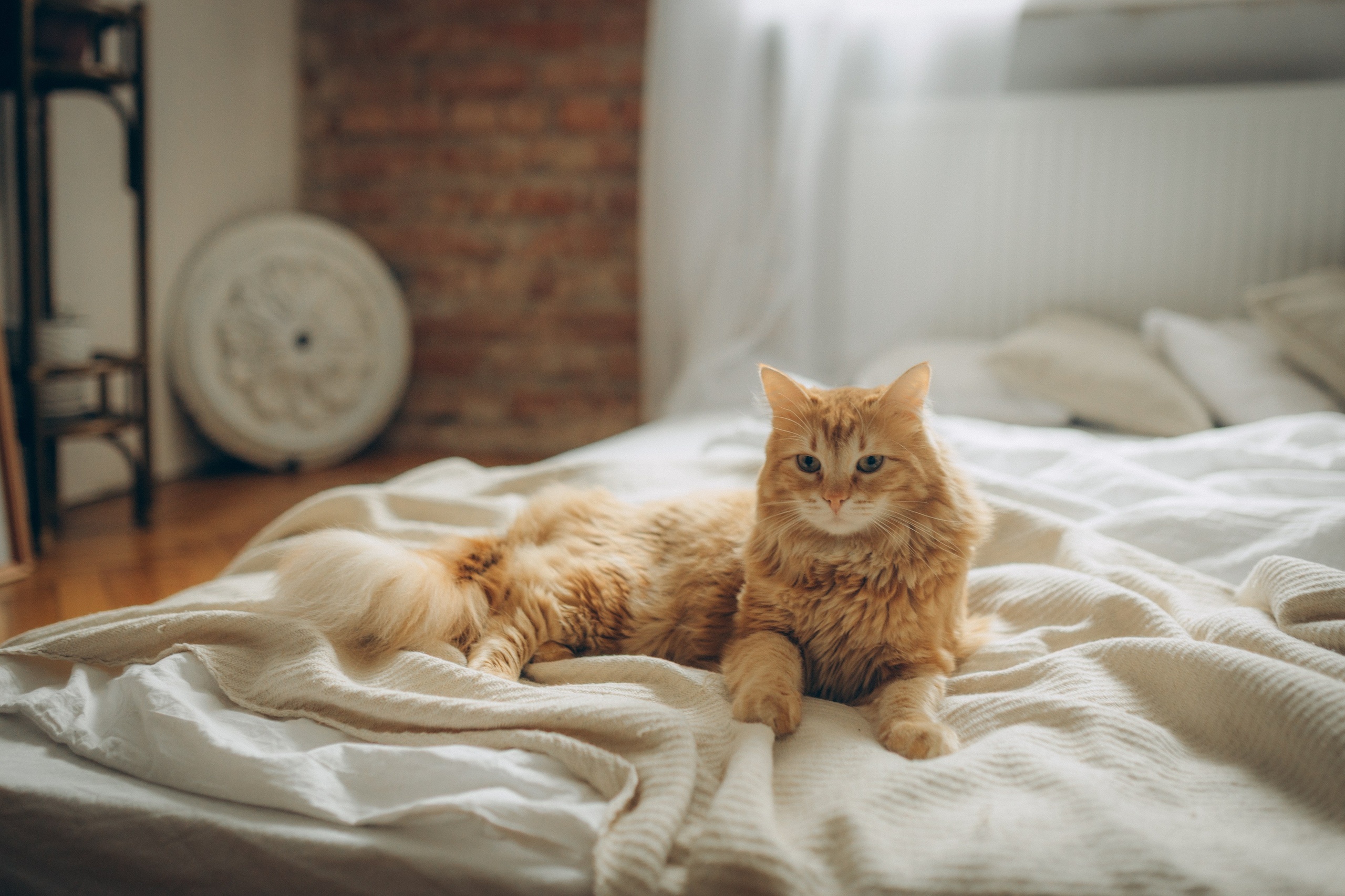 Ира & Дима. Семейный фотограф и фотограф на роды в Ростове-на-Дону Мухина Виктория