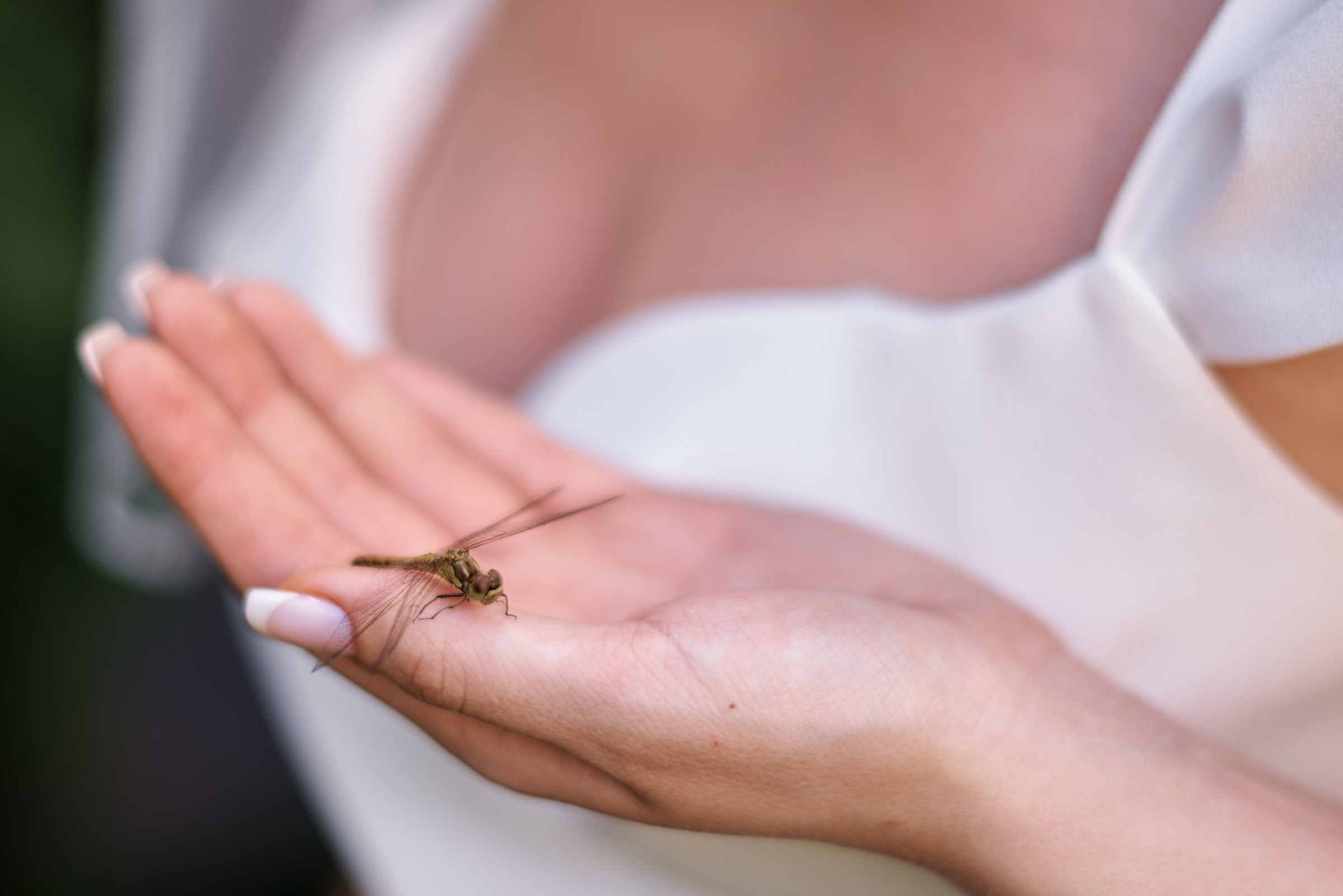 Александр и Елизавета. Свадебный фотограф, видеограф в Клину, Москве, Зеленограде, Калабушкин