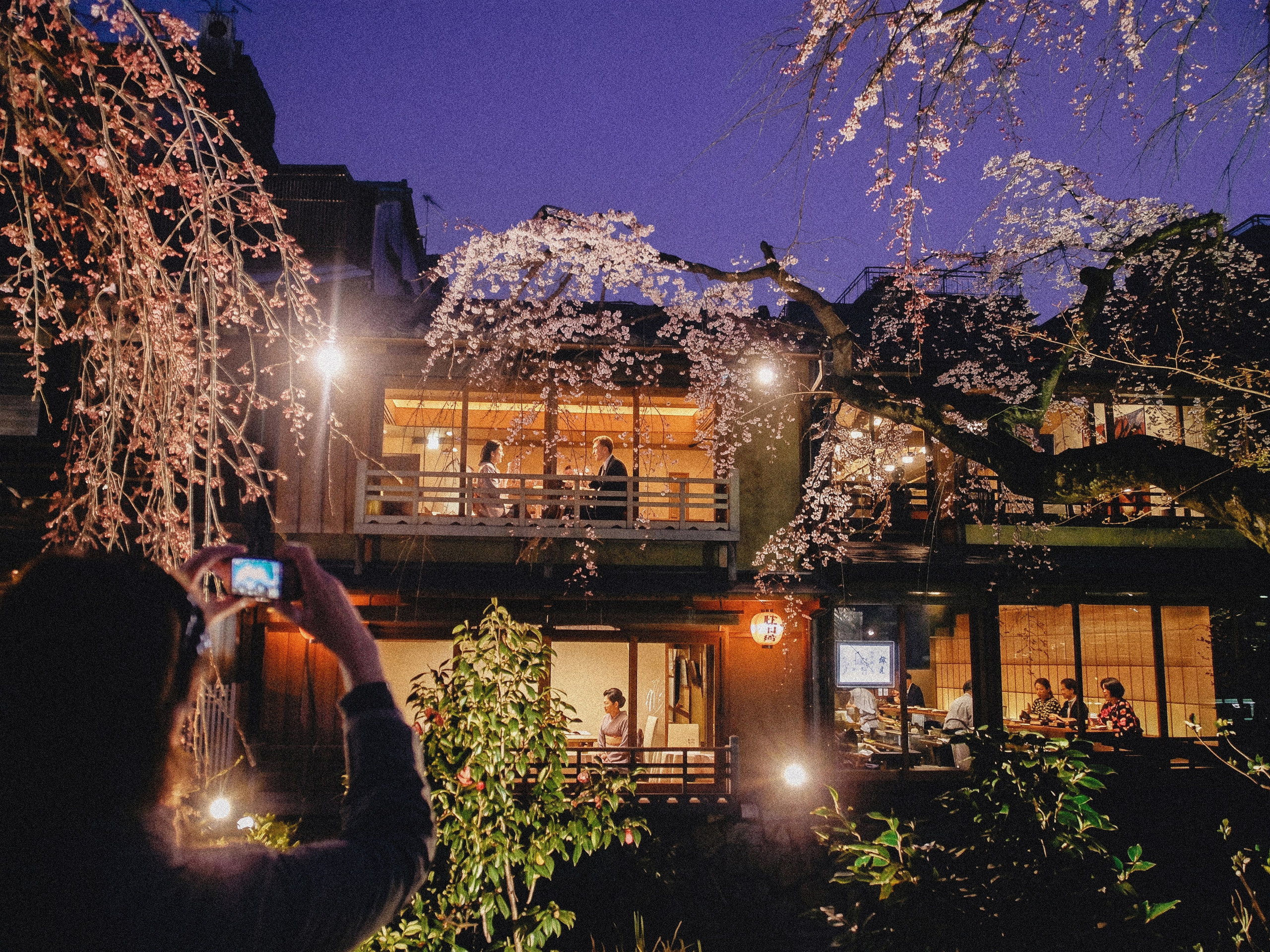 Japan. Фотограф Cyberkyrie