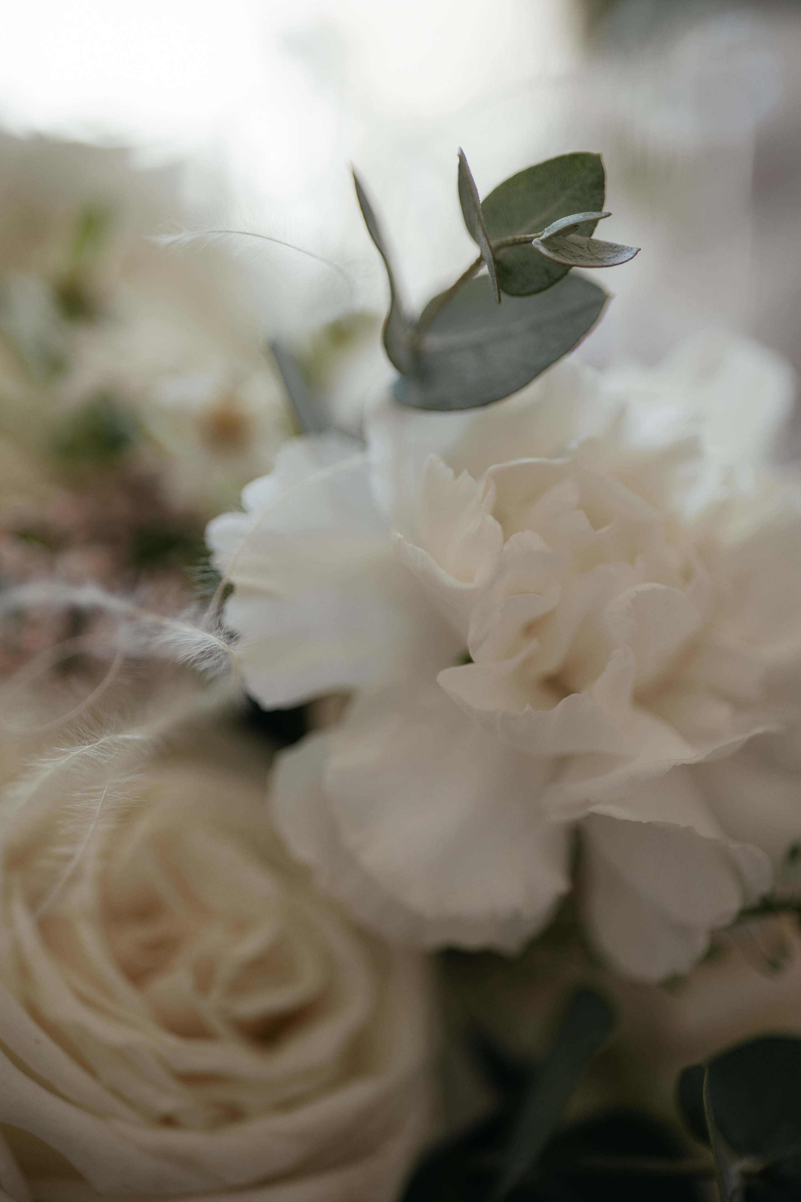 Артем и Алина. Фотограф Крохин Олег