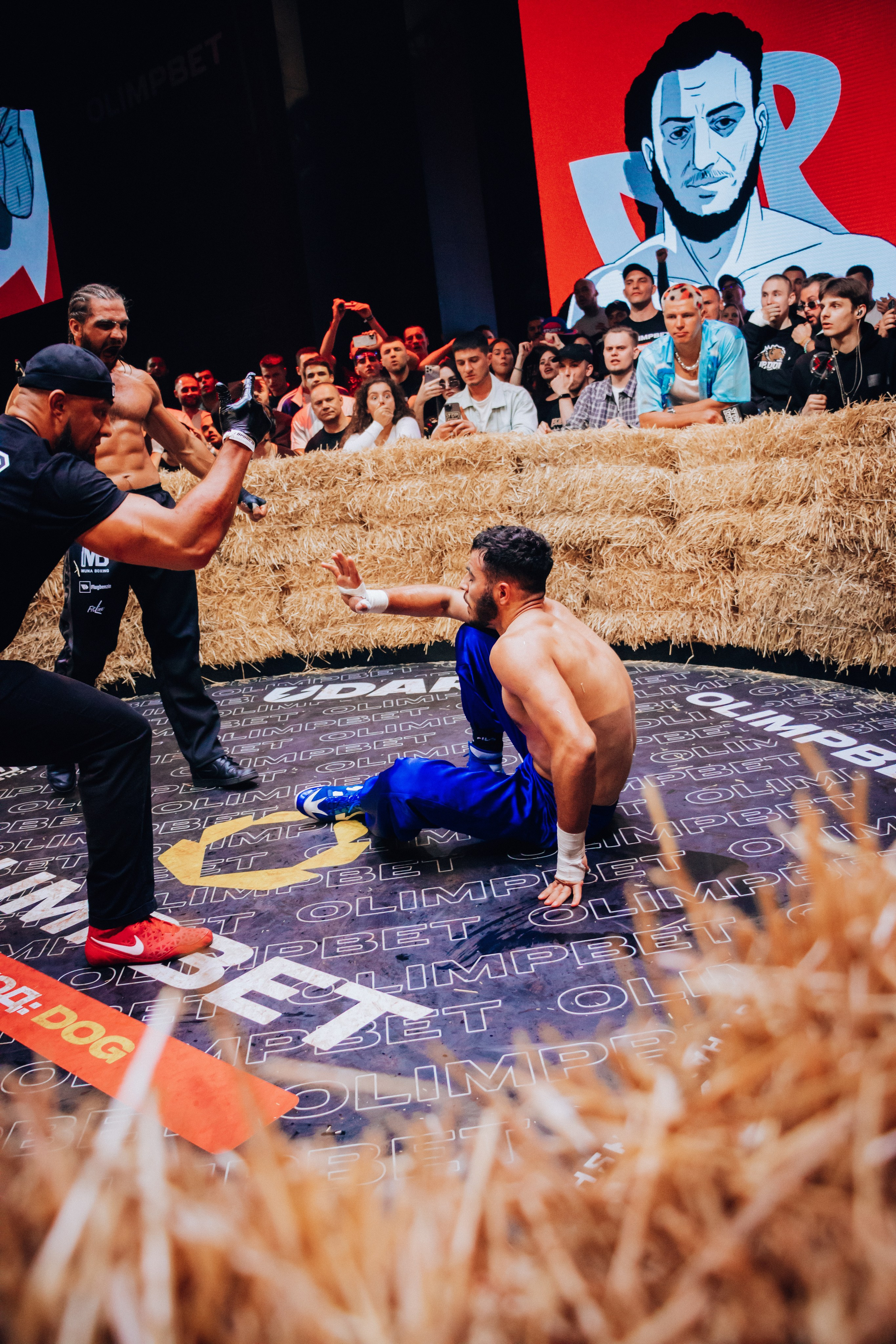 Кулачные бои TopDog. Анастасия Тен