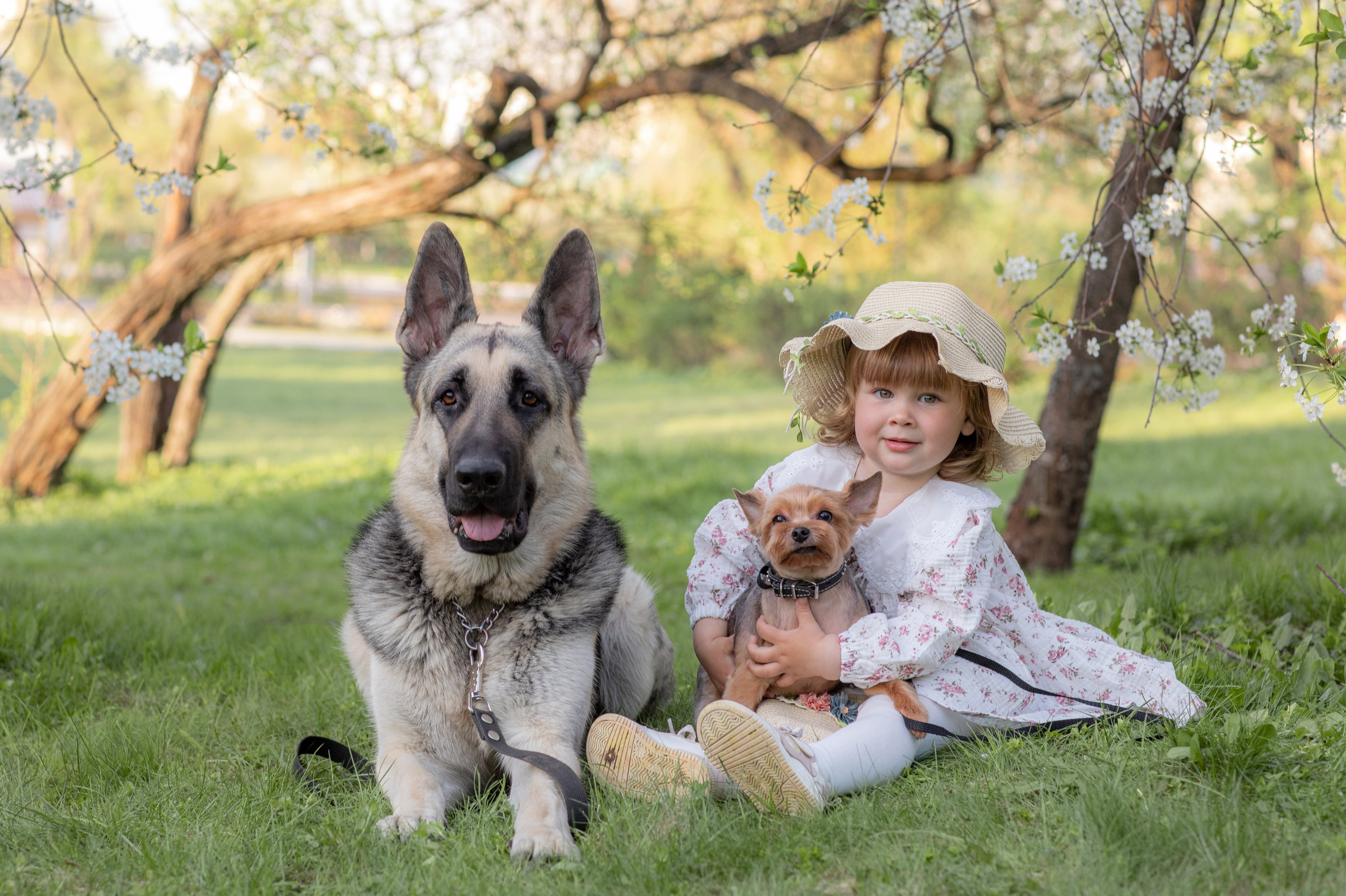 Детская фотосессия. Детский фотограф, фотограф-анималист