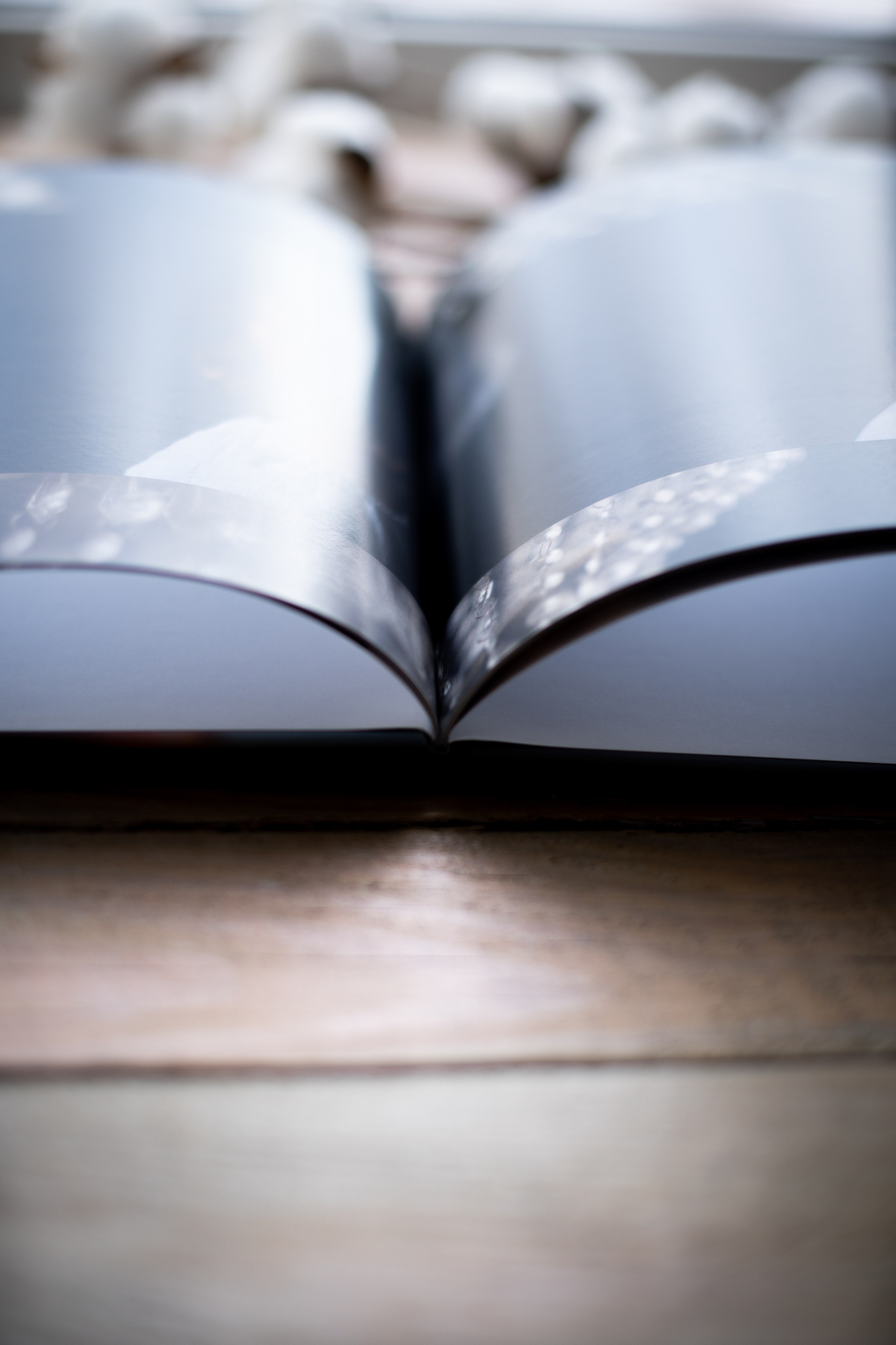 Валерия. Семейный и детский фотограф в Сергиев Посаде, Хотьково Якимчук Любовь