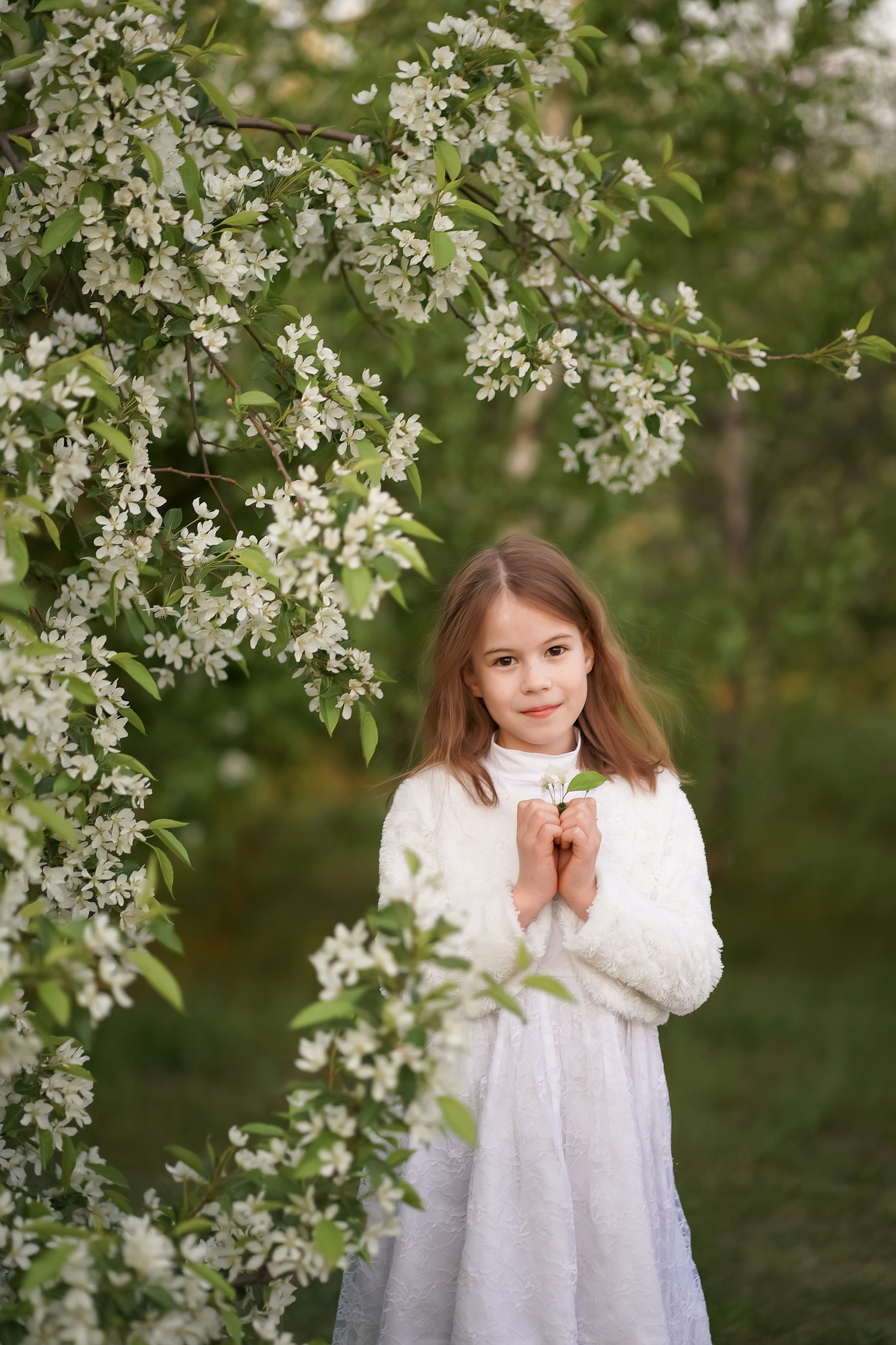 Цветение. Фотограф Татьяна Митрофанова