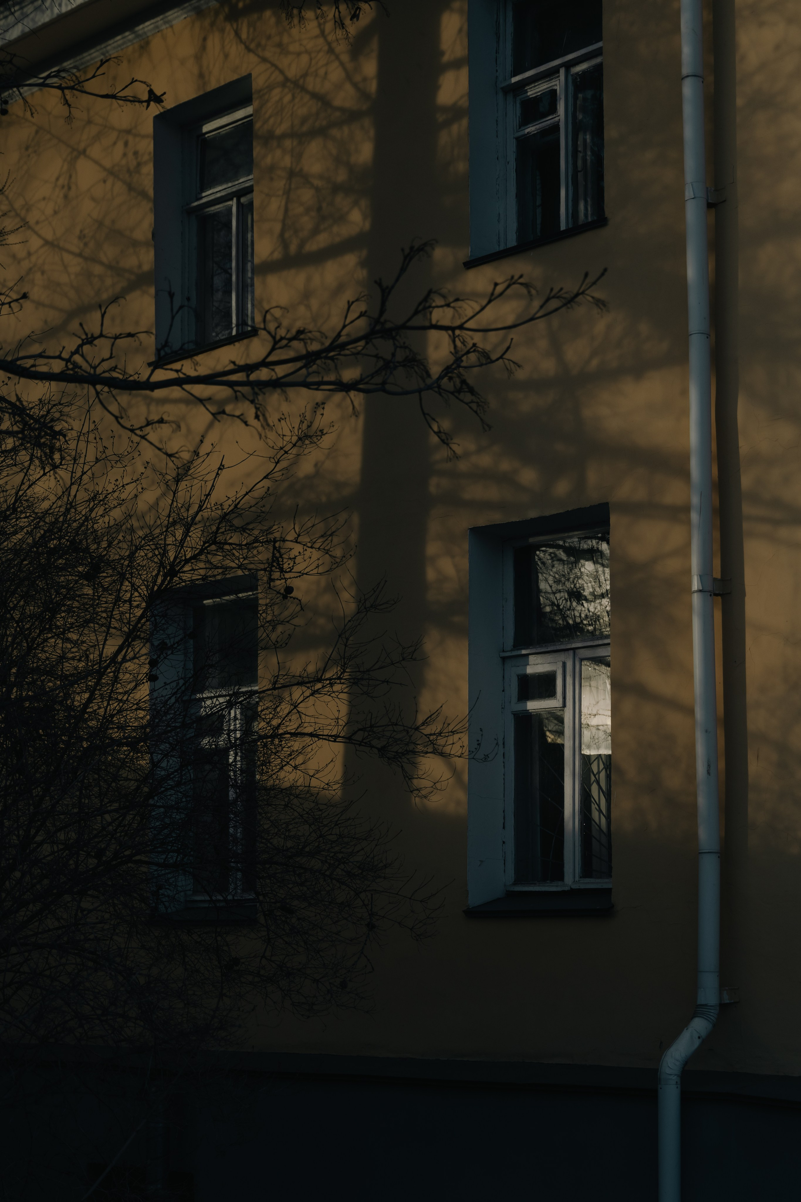 Петрозаводск. Портретный и уличный фотограф в Москве Таня Корнеева