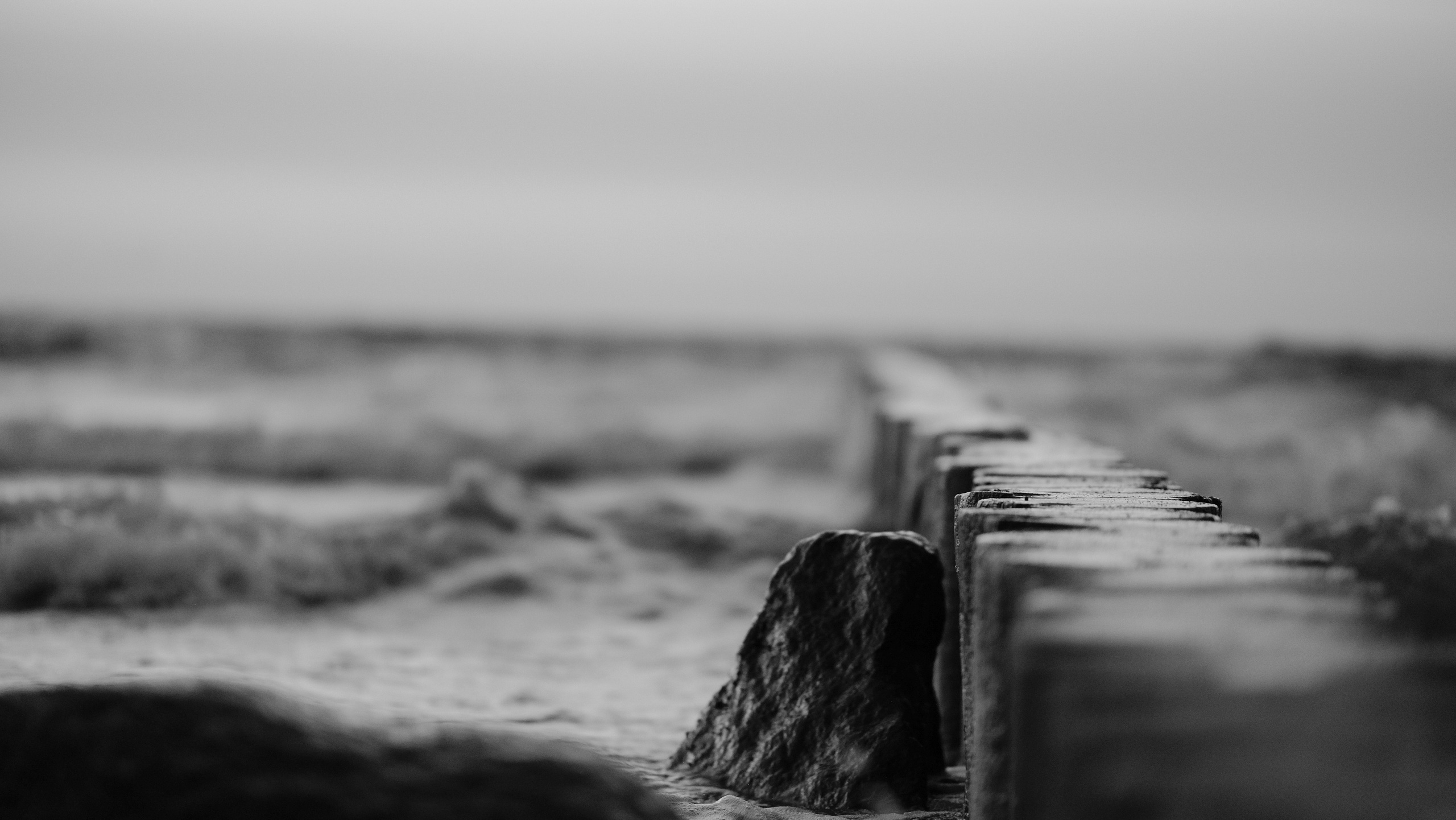 Черно-белое. KRUTOVA_фотографирую жизнь