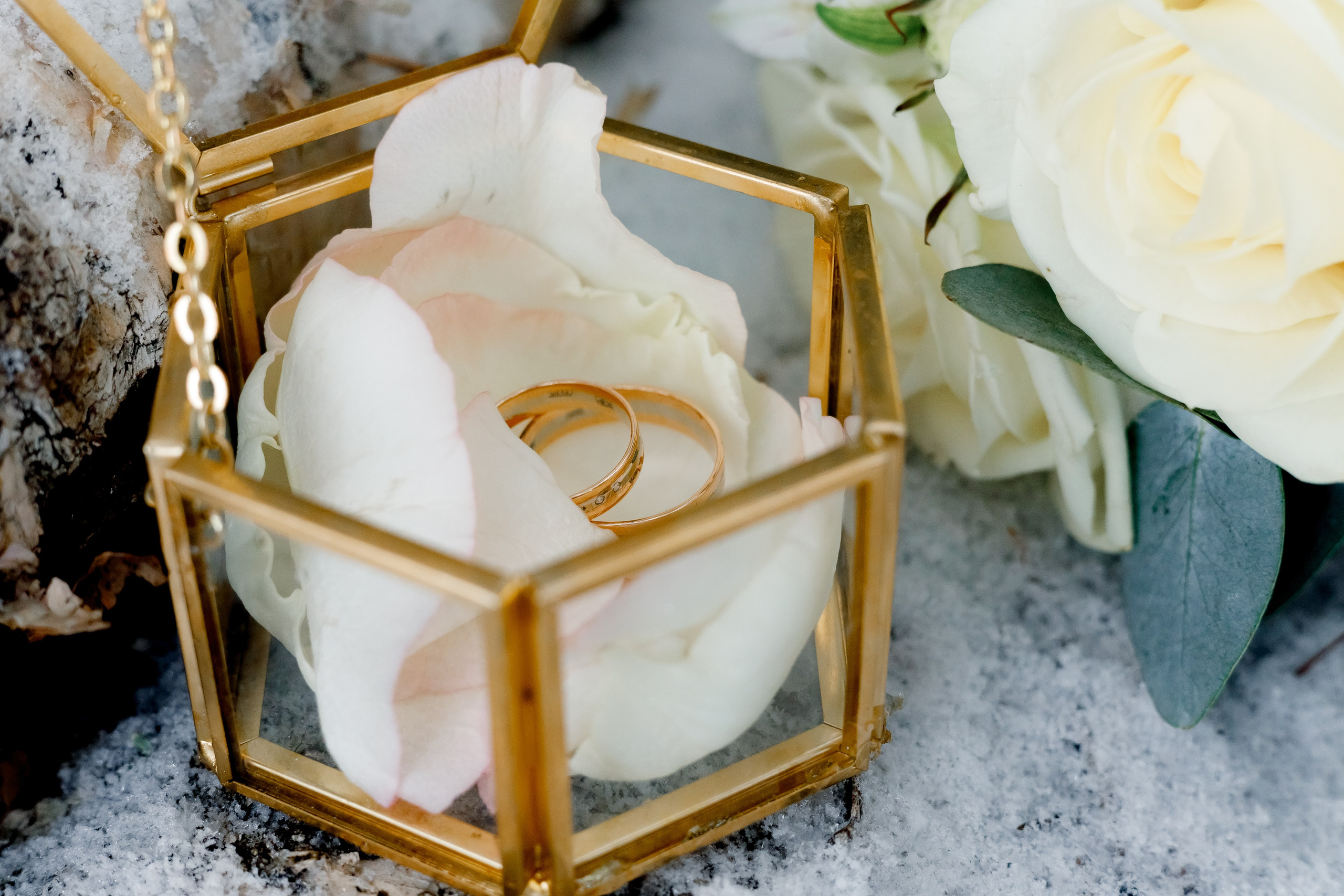 Свадьбы. Главная