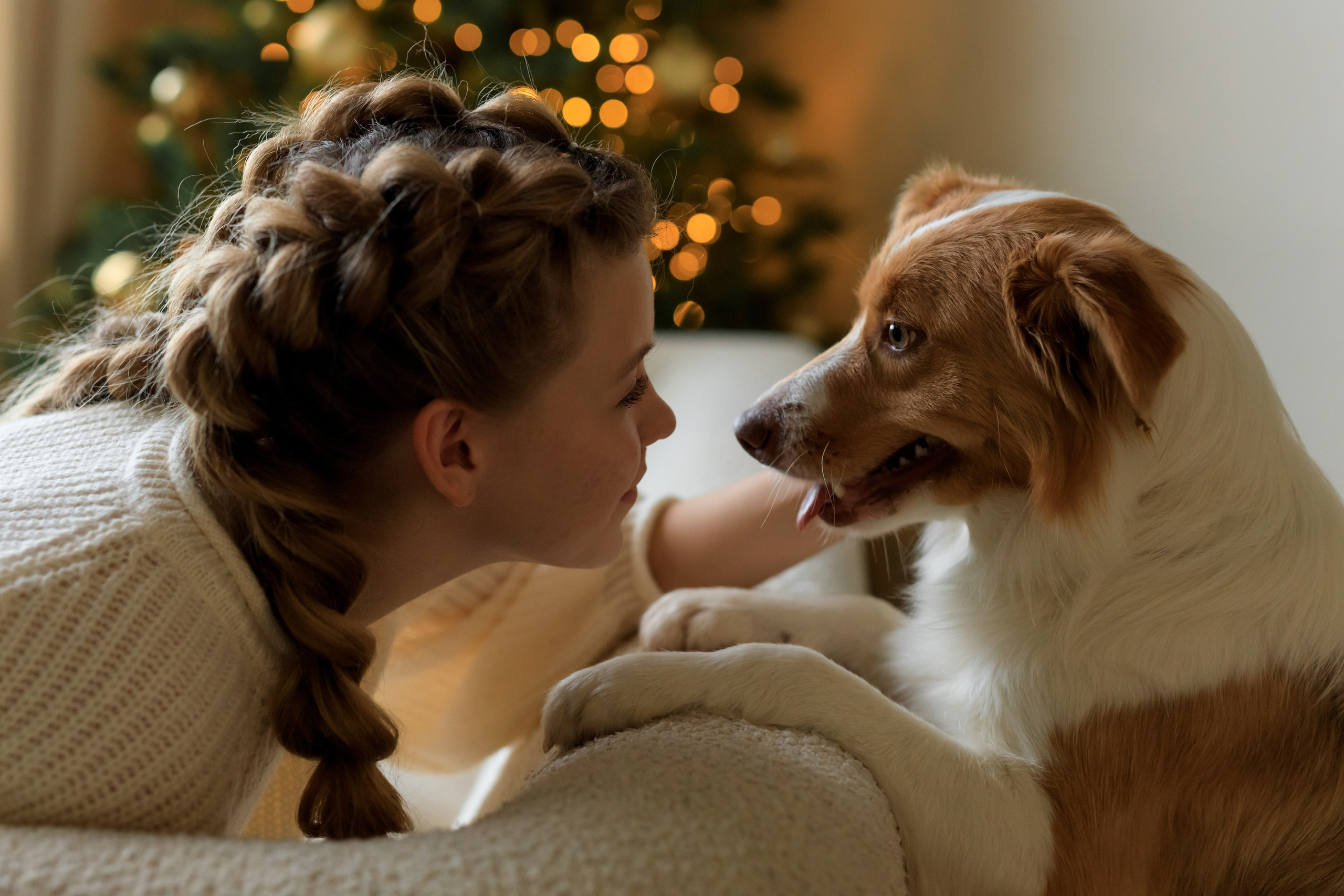Девочка и собака (студийная). Семейный и детский фотограф в Краснодаре Элона Литвинова
