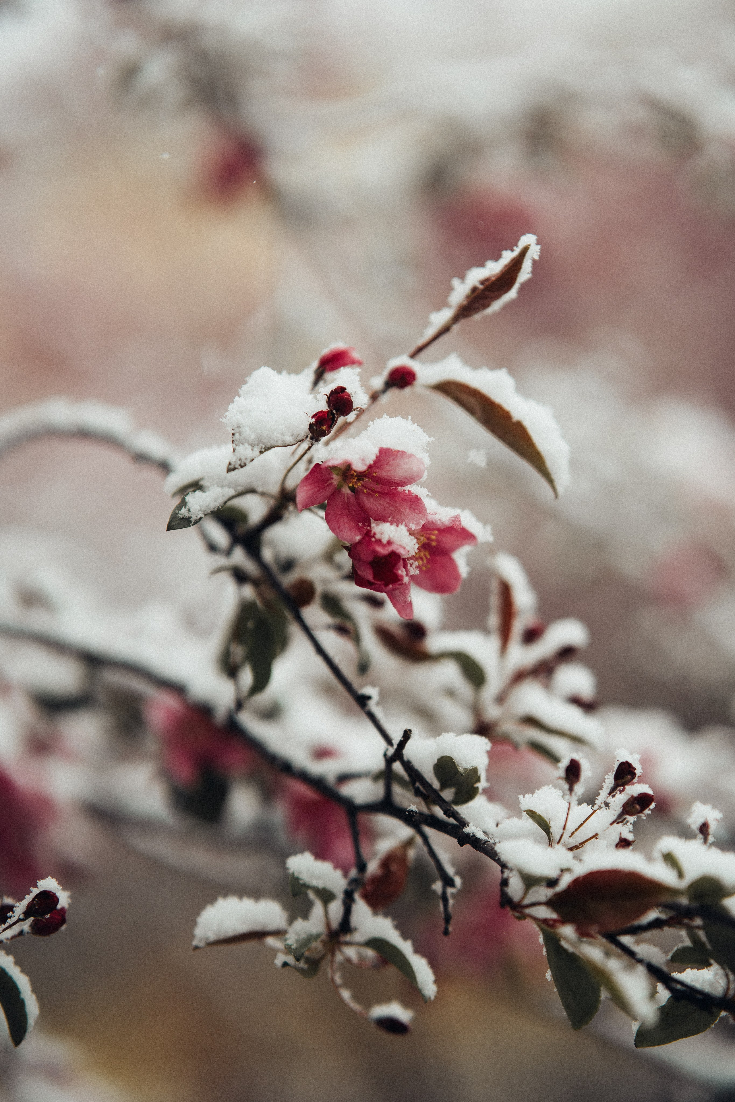 Москва. Фотограф Екатерина Катунова | Москва