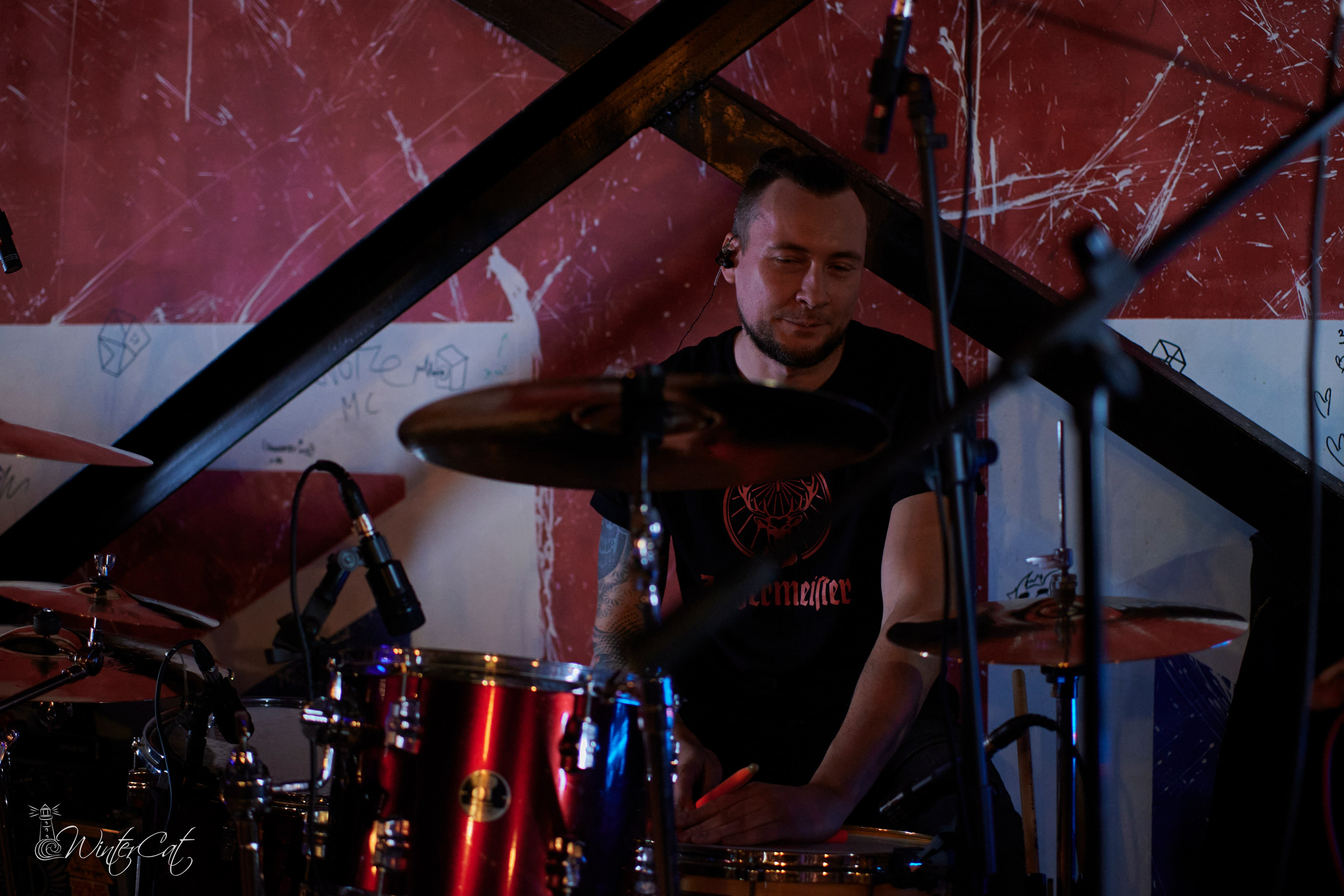 День Рождения Честер Четыре Года. Портретный и репортажный фотограф в Магадане Андрей Нефедов WinterCatPhoto