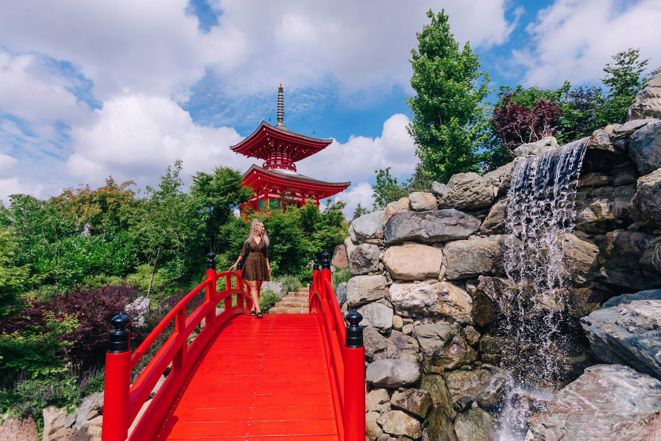 Японский сад. Фотограф Марина Верятинская | Краснодар