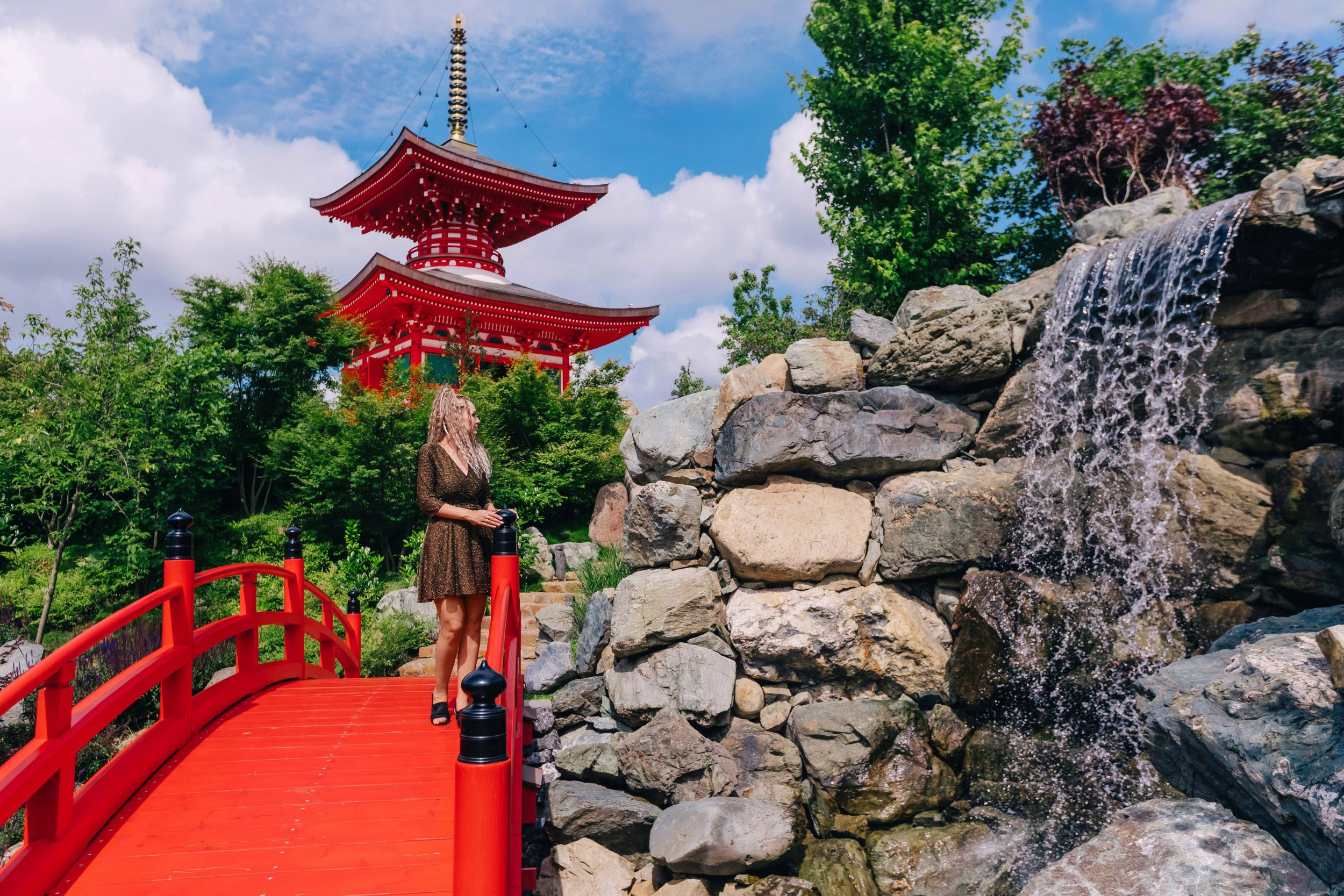 Японский сад. Фотограф Марина Верятинская | Краснодар