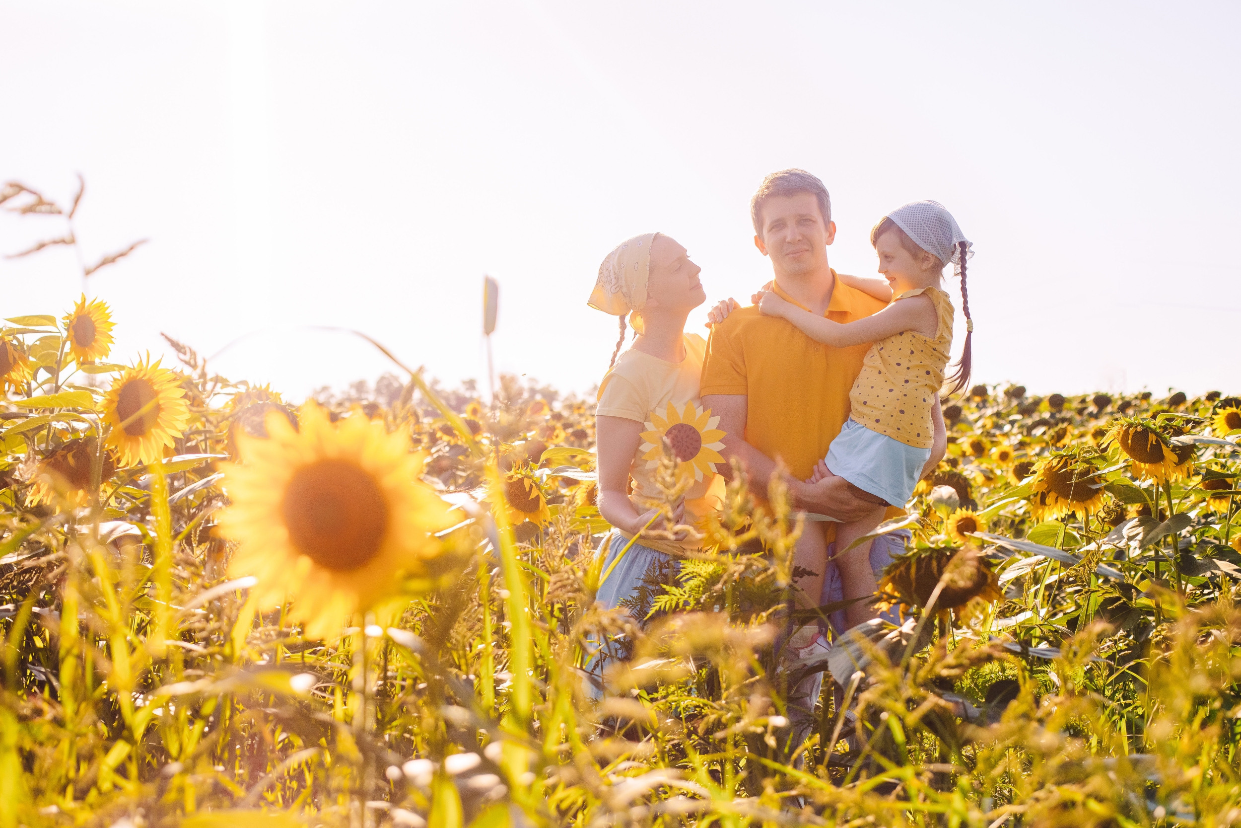 Подсолнухи в 23 м. Фотограф Марина Верятинская | Краснодар