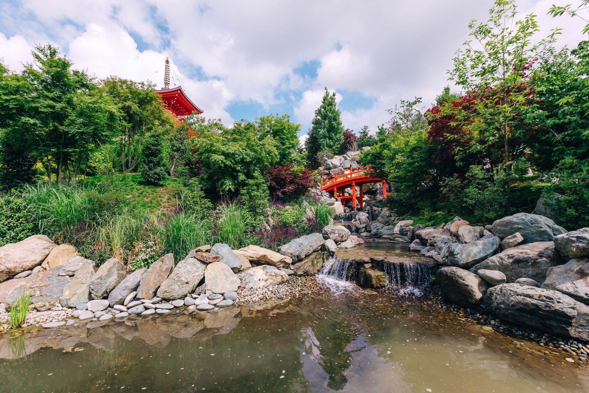 Японский сад. Фотограф Марина Верятинская | Краснодар