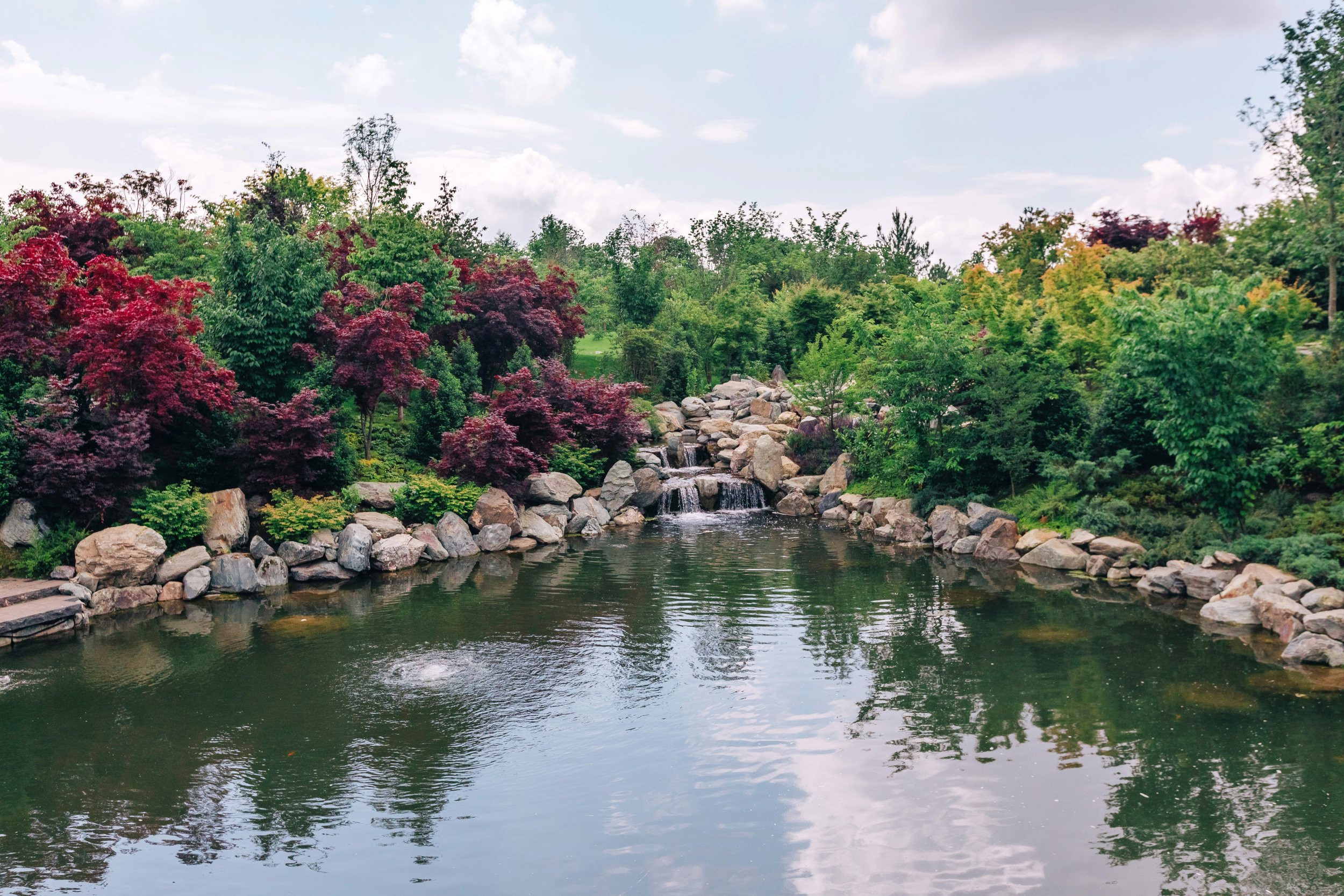 Японский сад. Фотограф Марина Верятинская | Краснодар