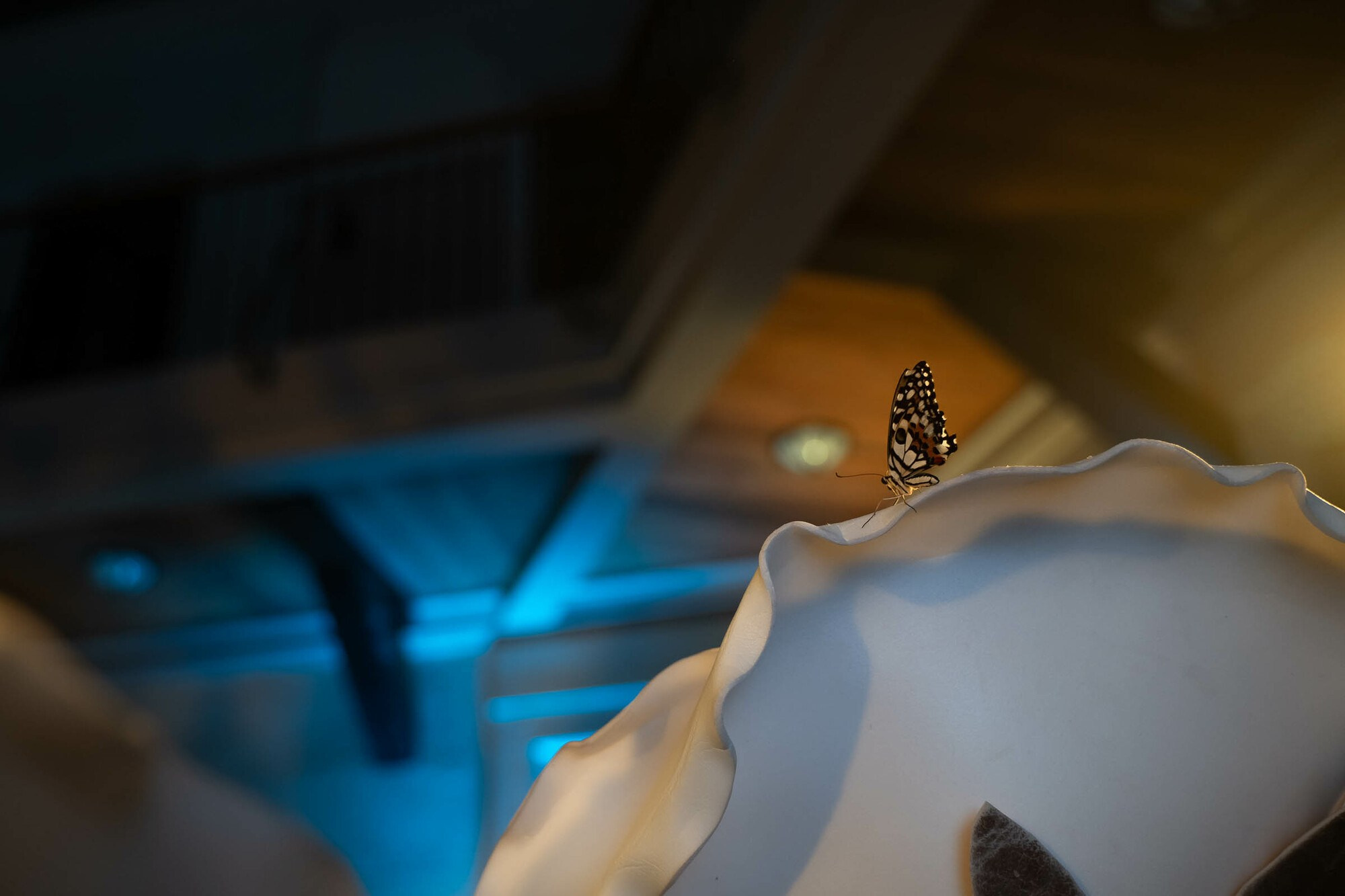 День рождения Юлии в замке БИП. Свадебный фотограф в Санкт-Петербурге и Москве Андрей Нестеров