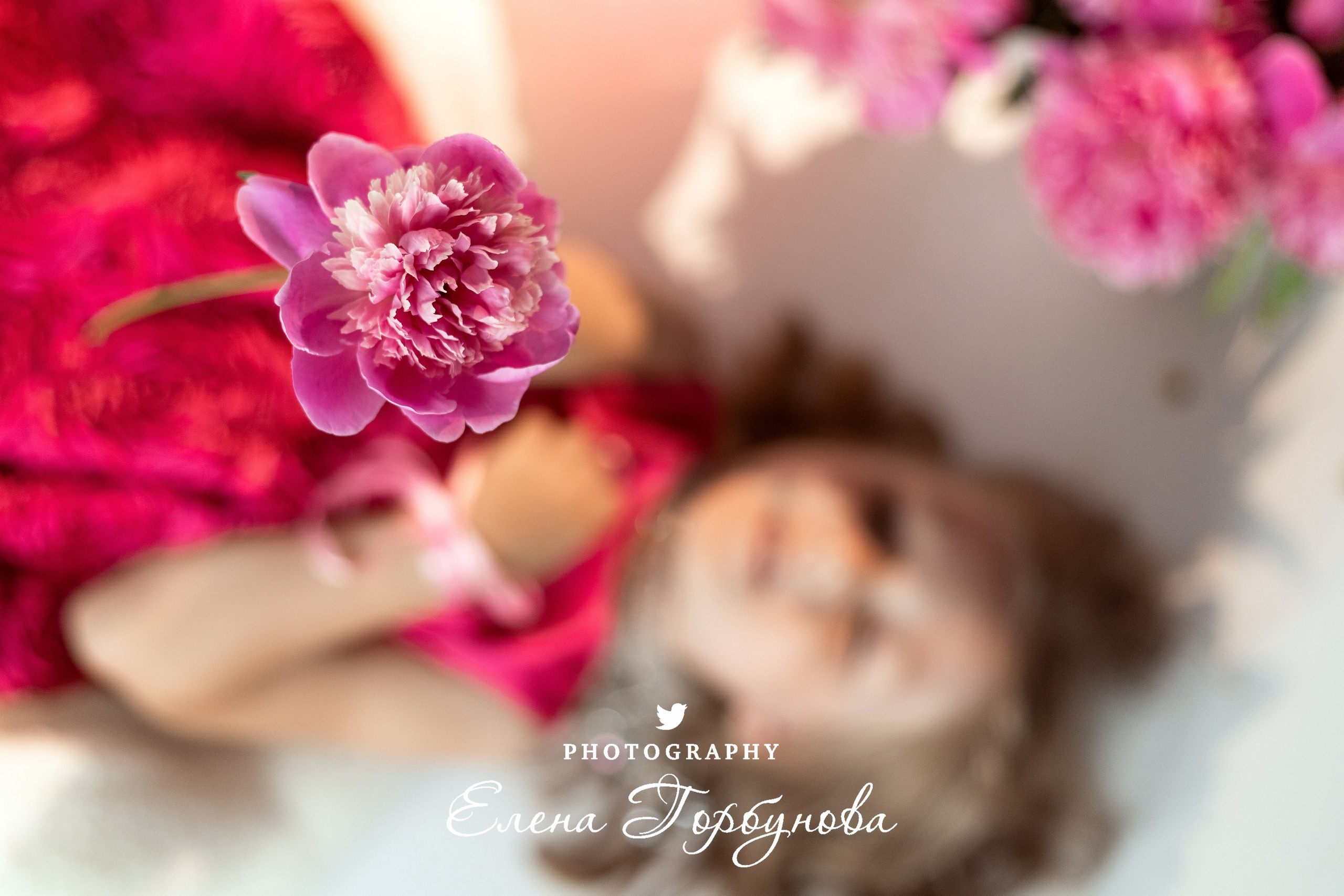 «Модница в розовом» В моей студии. Вероника и Александра. 2024. Фотограф Пермь. Свадьбы. Семья и дети, школа, д. сад. Фотокниги