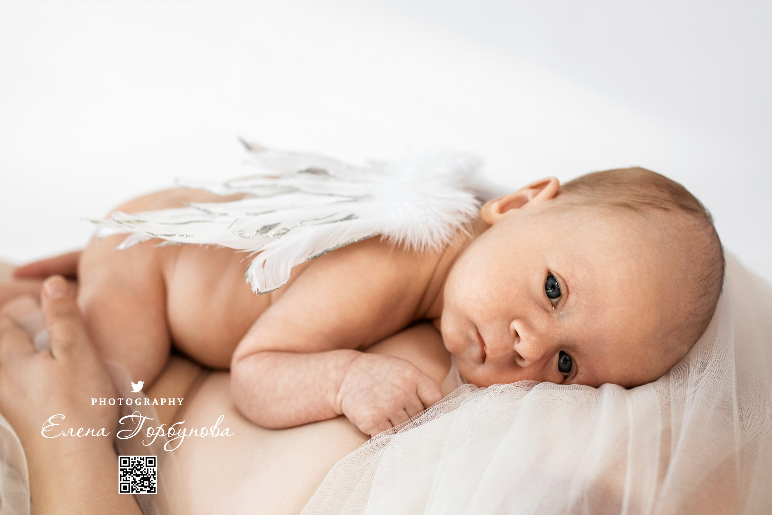 Моя мини студия. Авг.-сент 2024 г. Фотограф Пермь. Свадьбы. Семья и дети, школа, д. сад. Фотокниги