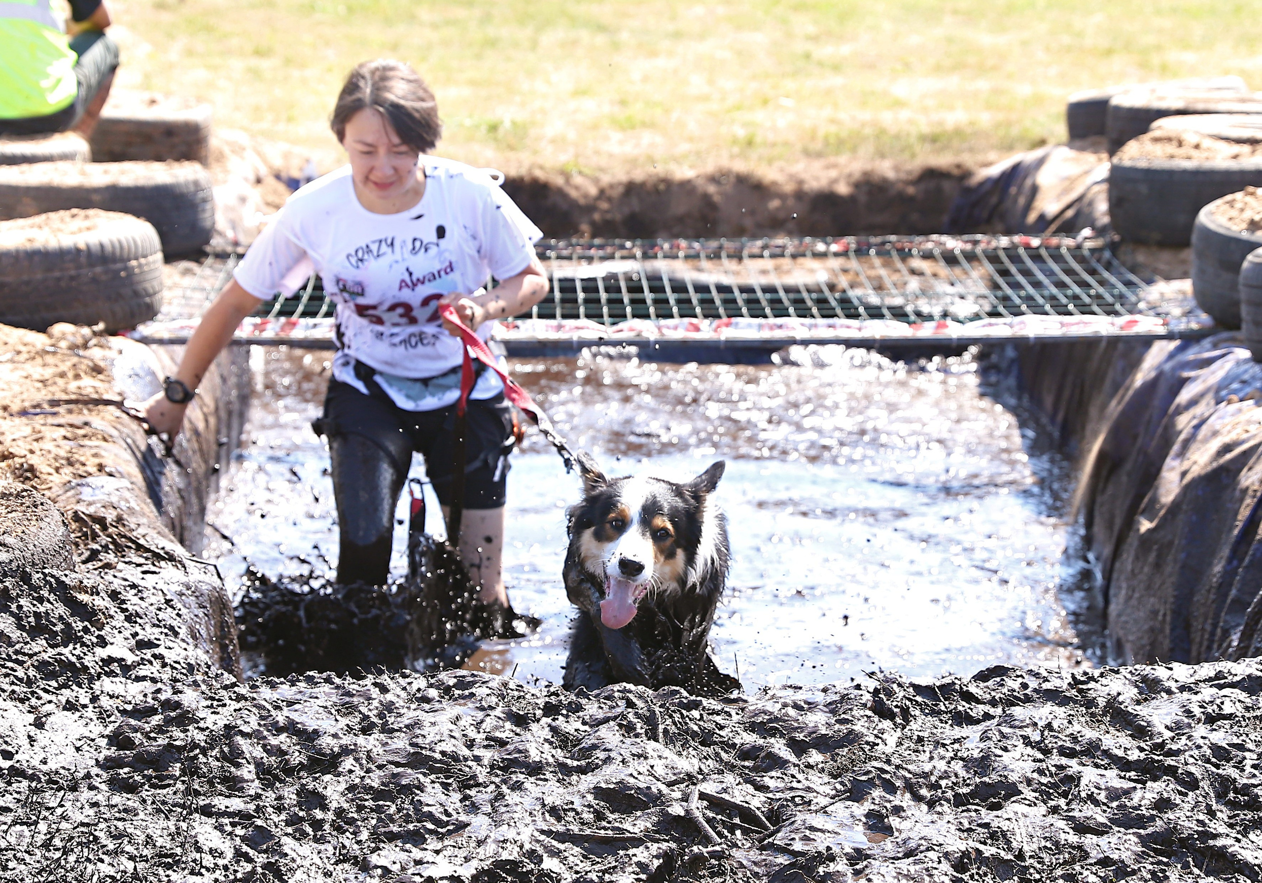 Хвостатый драйв. Семейный и детский фотограф в Москве и МО Елена Москвичева