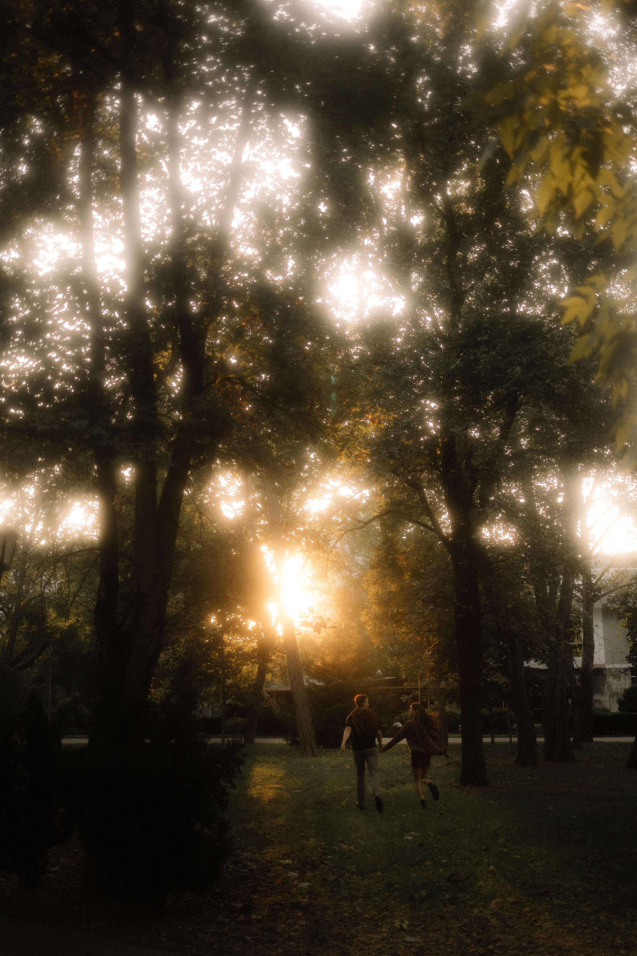 Миша и Полина. Семейный фотограф в Краснодаре Храмова Анна