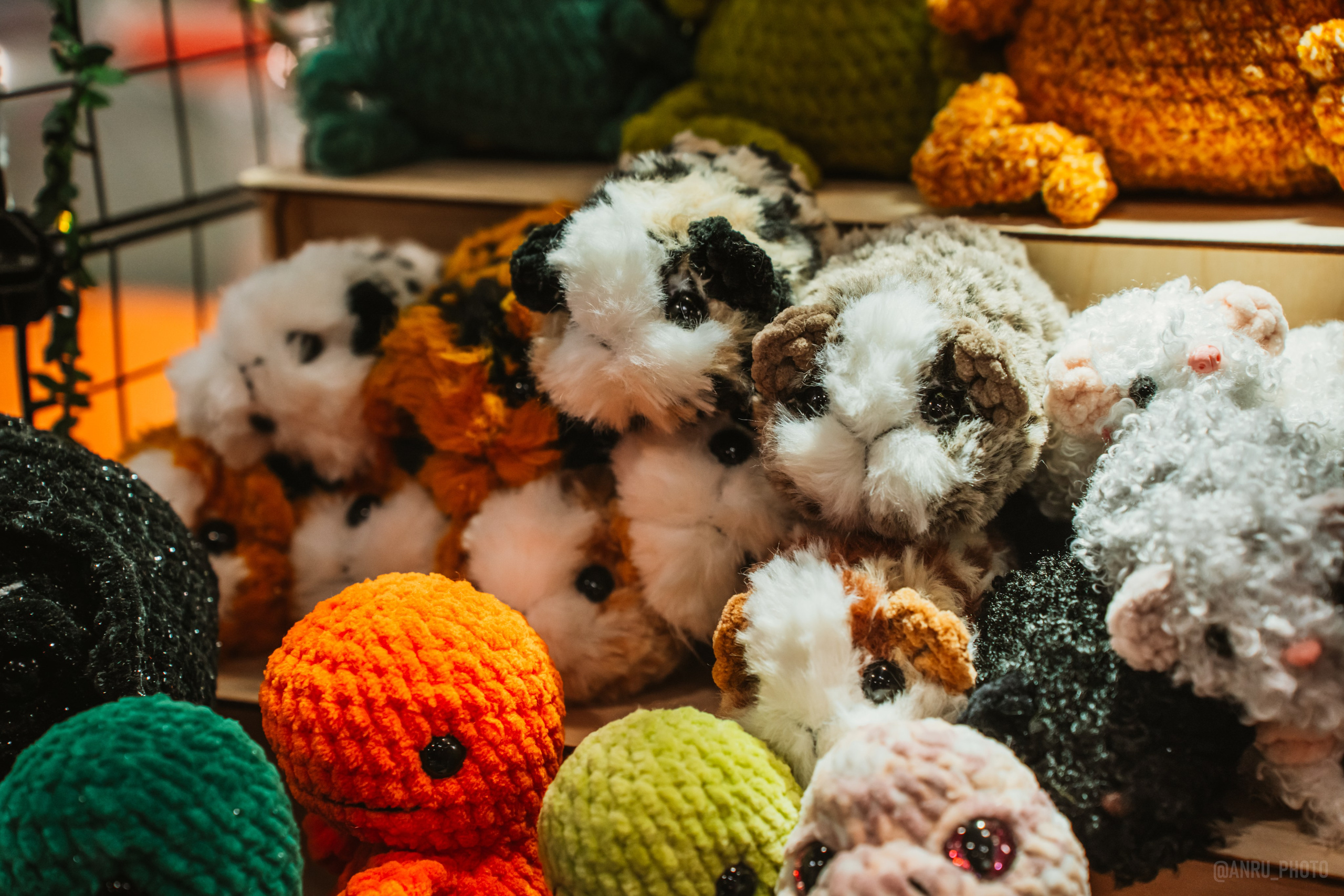 Рептилиум (ручная работа). Репортажный фотограф Анастасия Рубцова