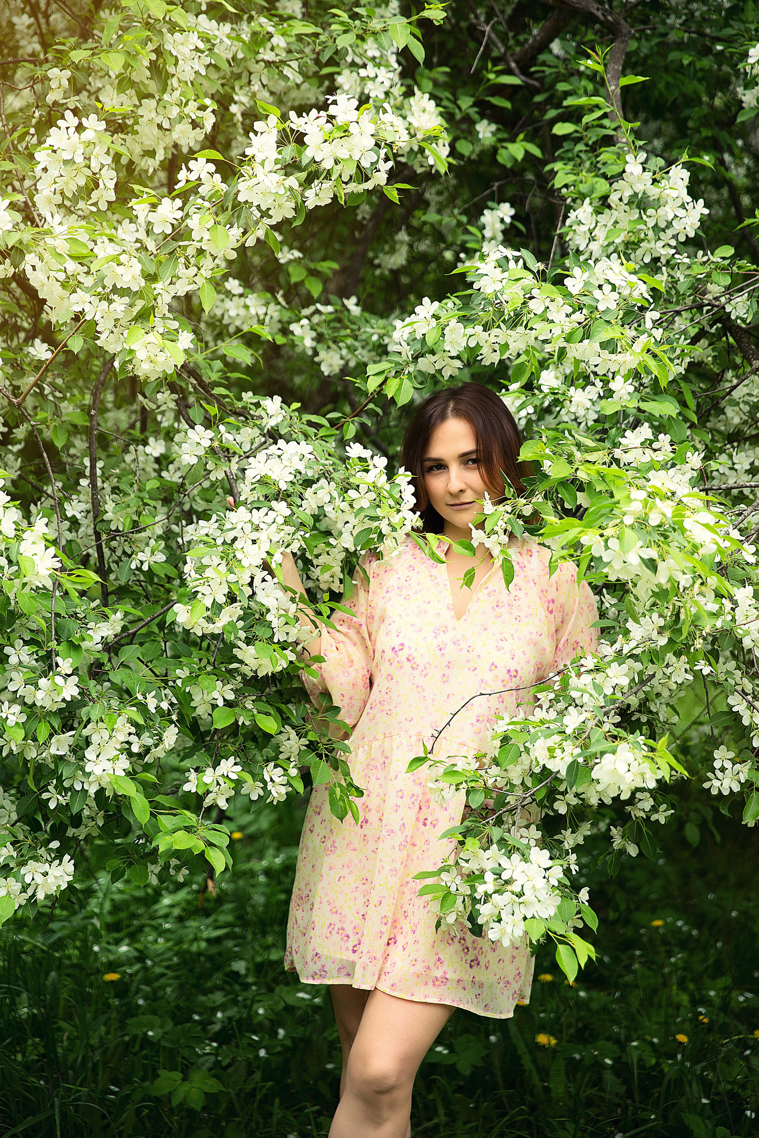 «Яблони». Детский школьный фотограф в Кемерово Зиновьева Екатерина