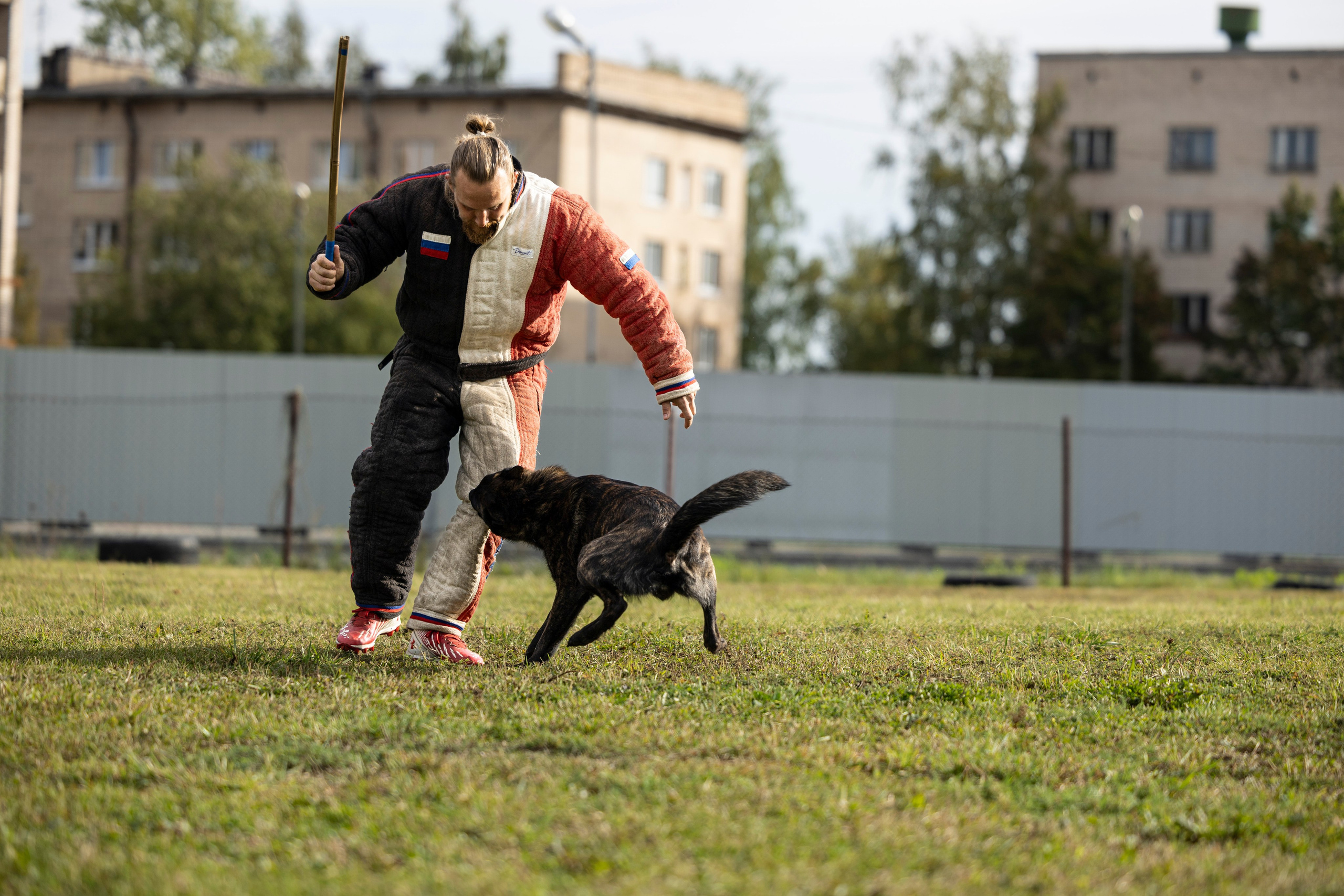 Испытания по Мондьорингу г. Пушкин. Фотограф-анималист Анна Маринич