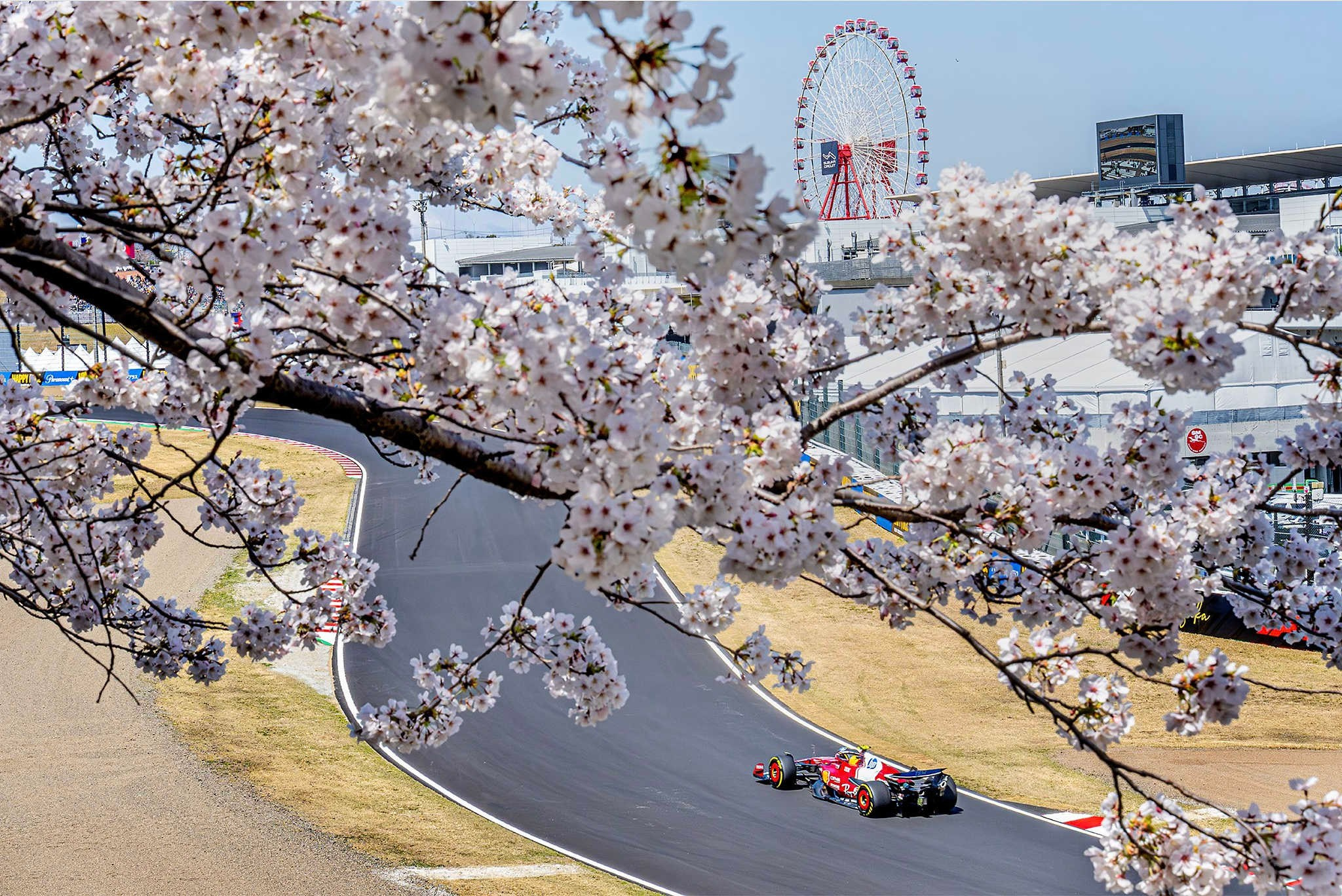 Voon Wah Wong - Sakura Drift