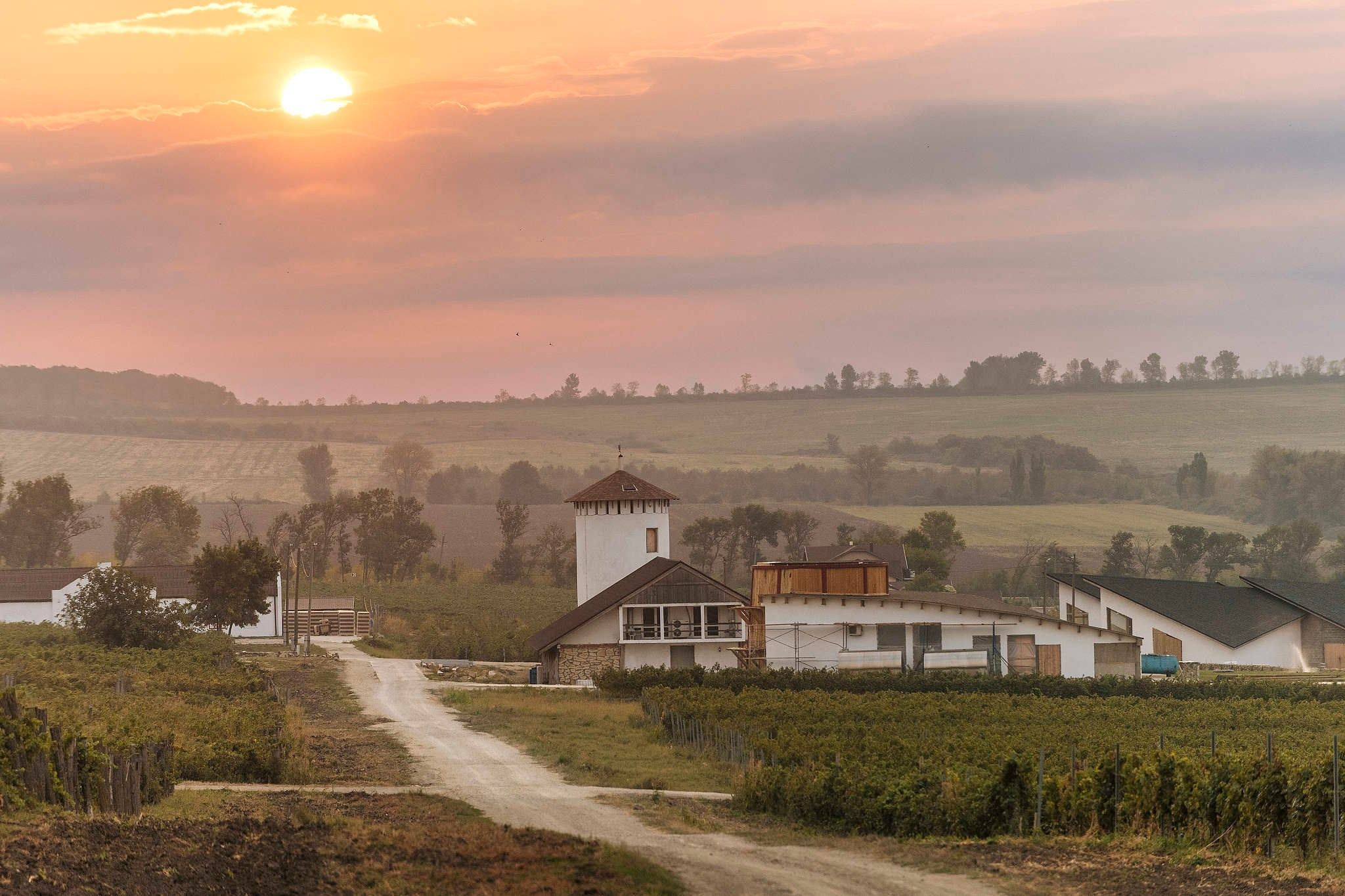 Фотограф Михаил Мордасов. 18 лет работы профессиональным фотографом. Репортажный фотограф в Сочи — Михаил Мордасов