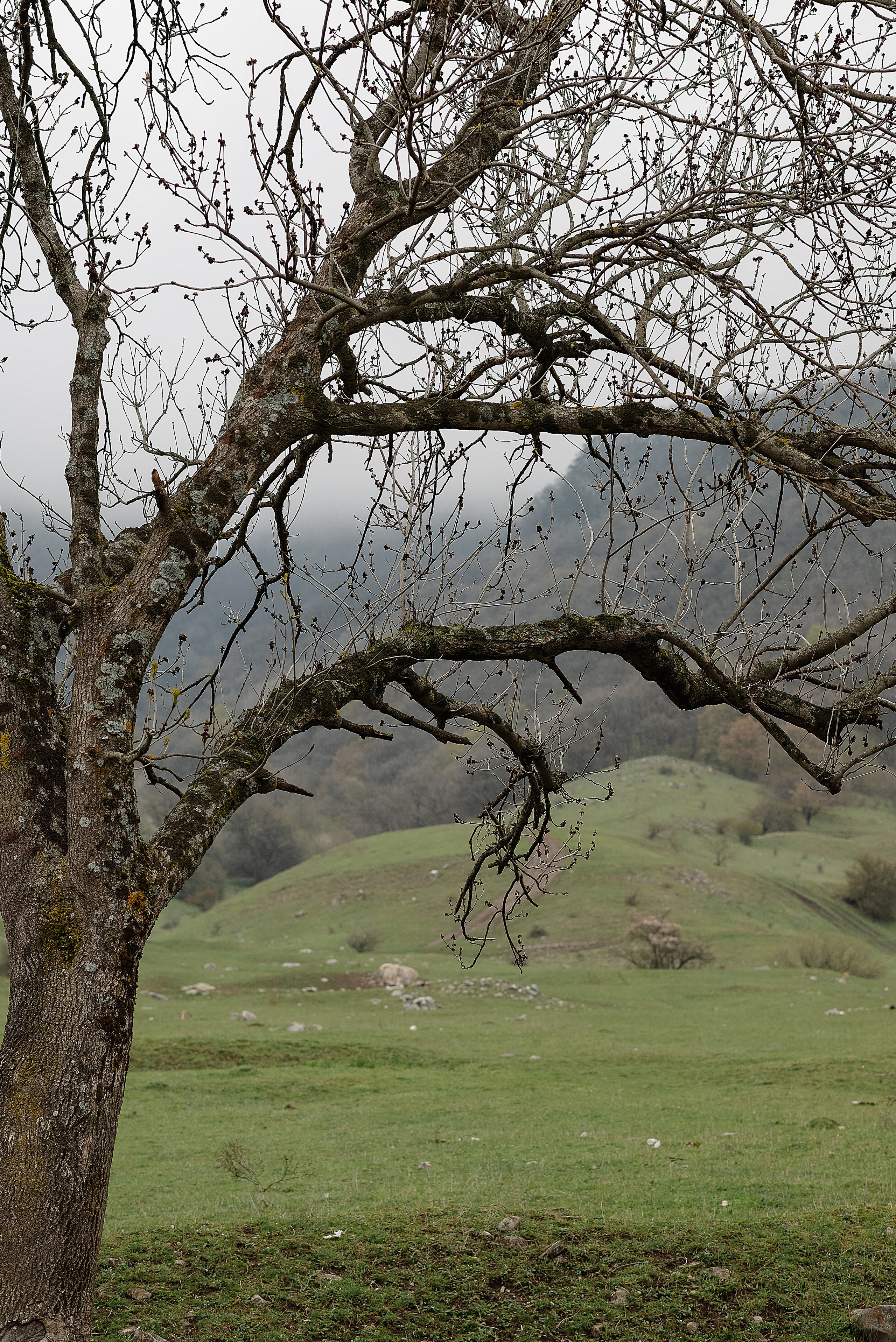 История Николая и Ирины. Владикавказ. Ингушетия. Свадебный и семейный фотограф в Ростове-на-Дону Алина Астахова
