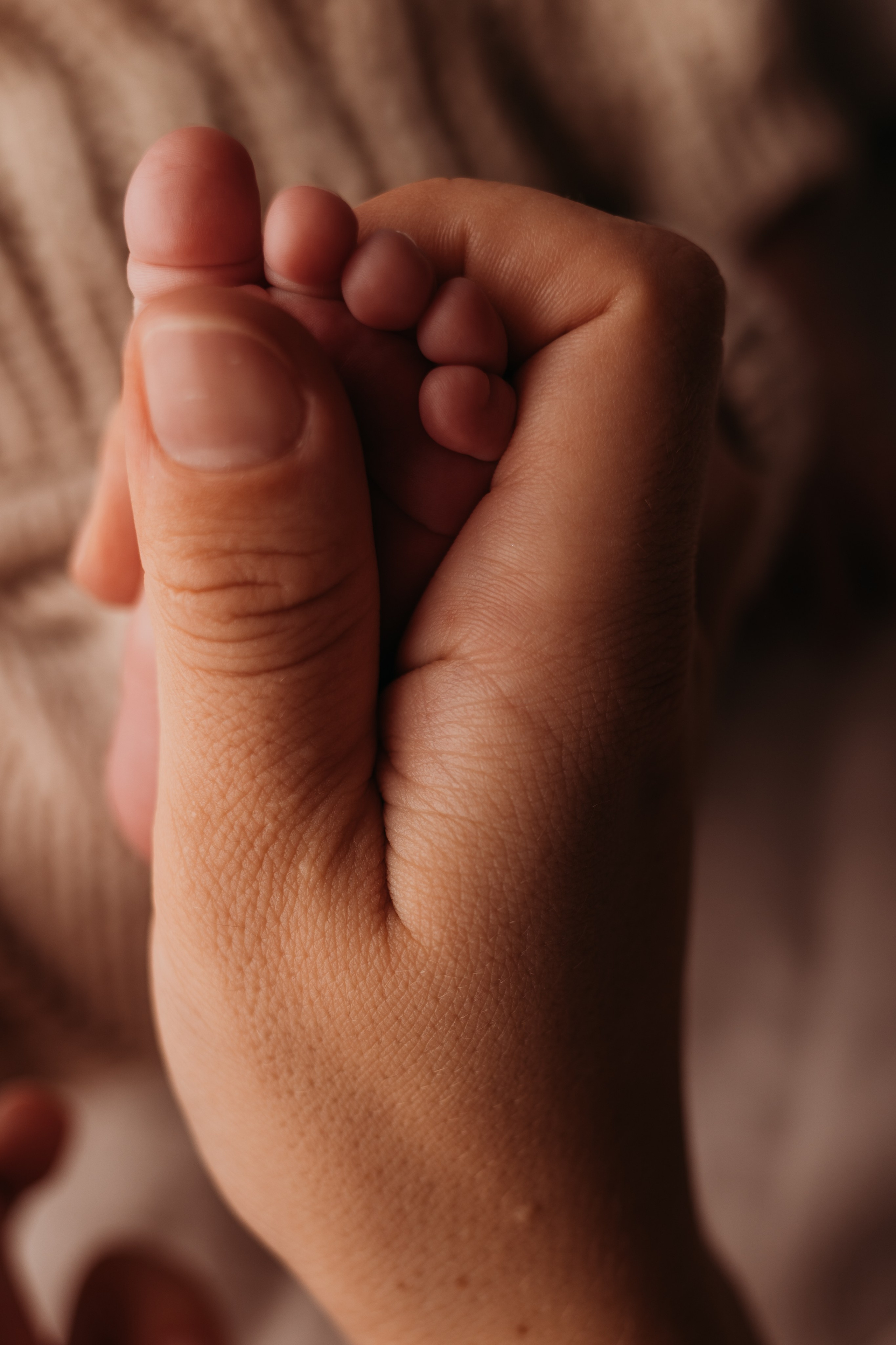 Newborn съемка в стиле Лайф. Фотограф новорожденных малышей в Омске и Омской области Эльвира Камаева