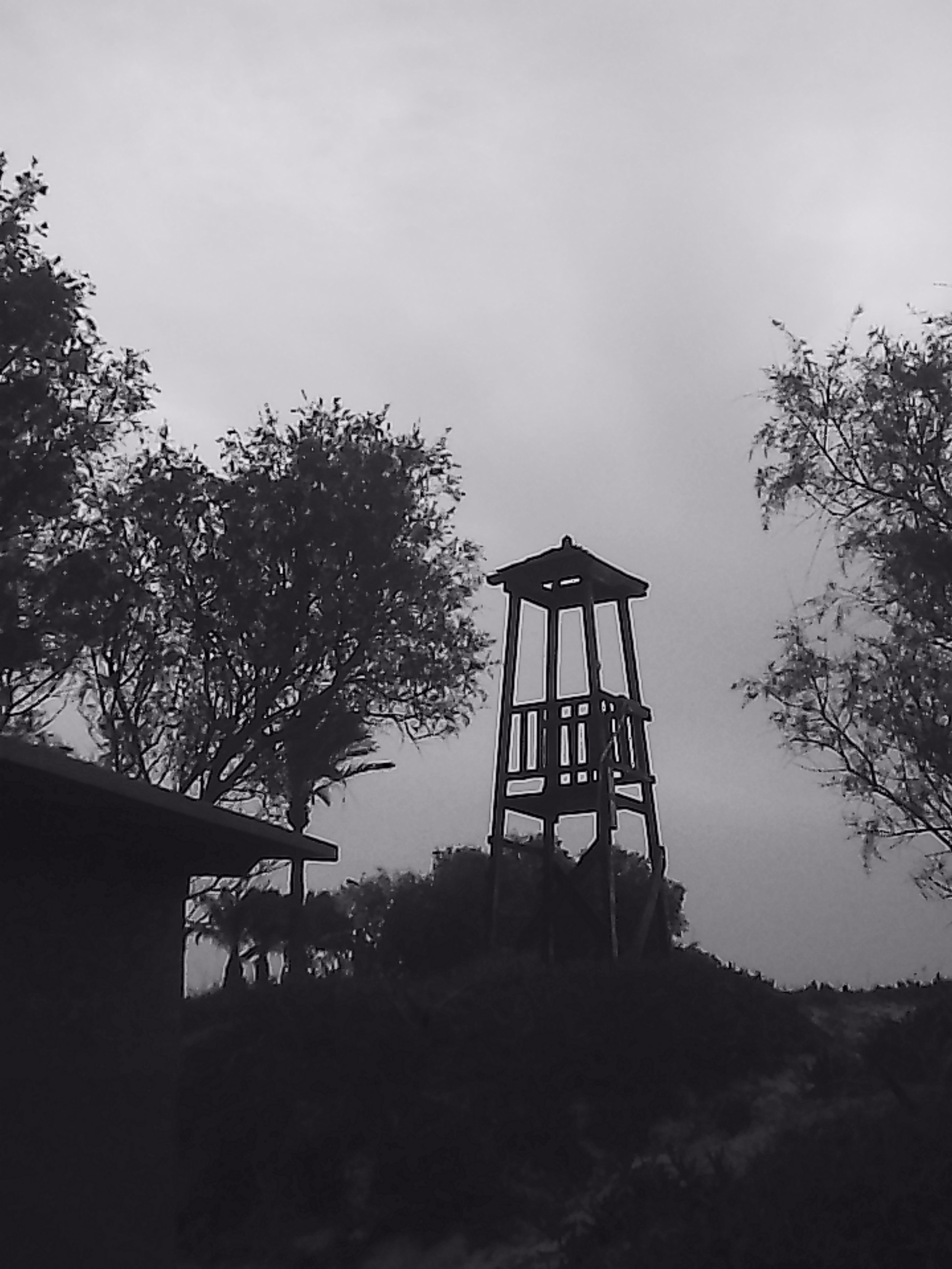 «Крошка 🐣». Anita_photo