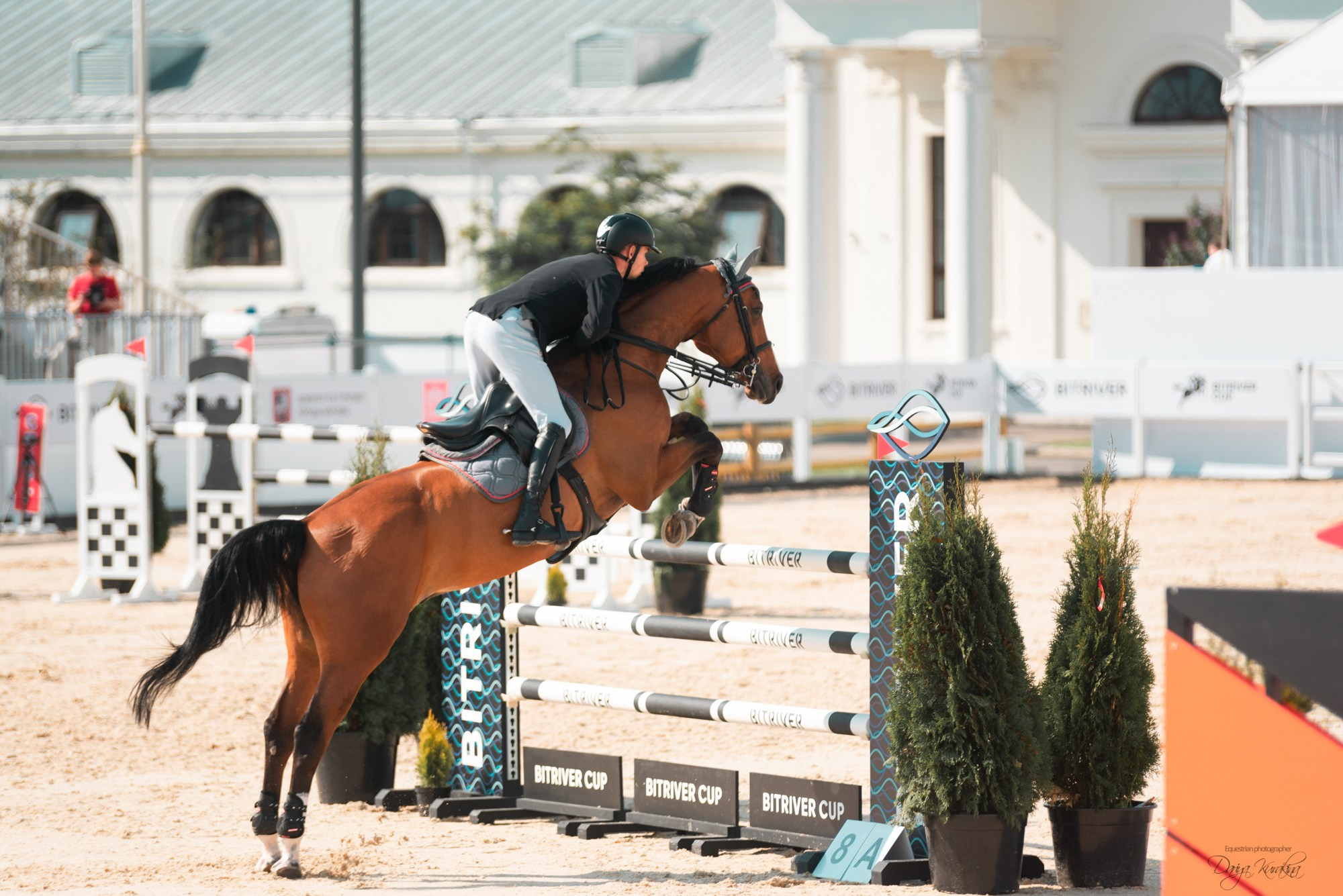 BITRIVER CUP 2023. Конный фотограф Куракина Дарья • Фотосессии с лошадьми