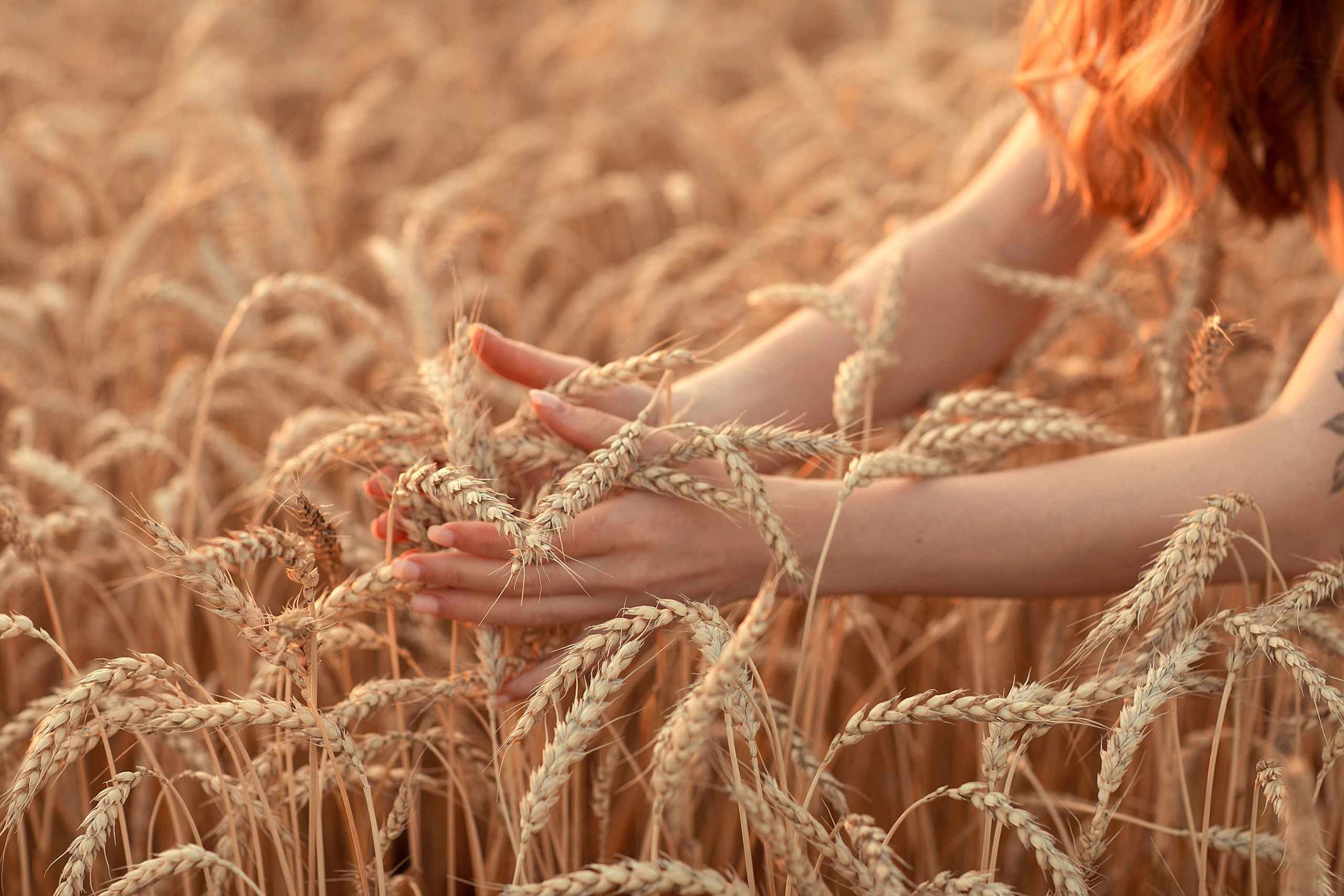 Семейные съемки. Фотограф новорожденных