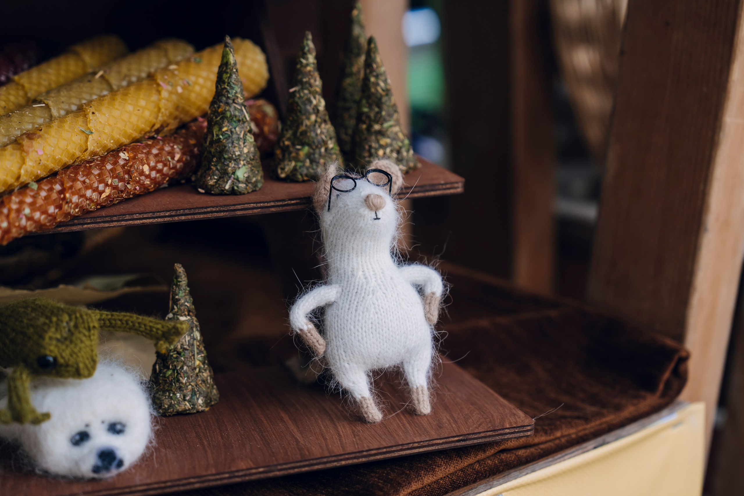 Дневные события. Geometria