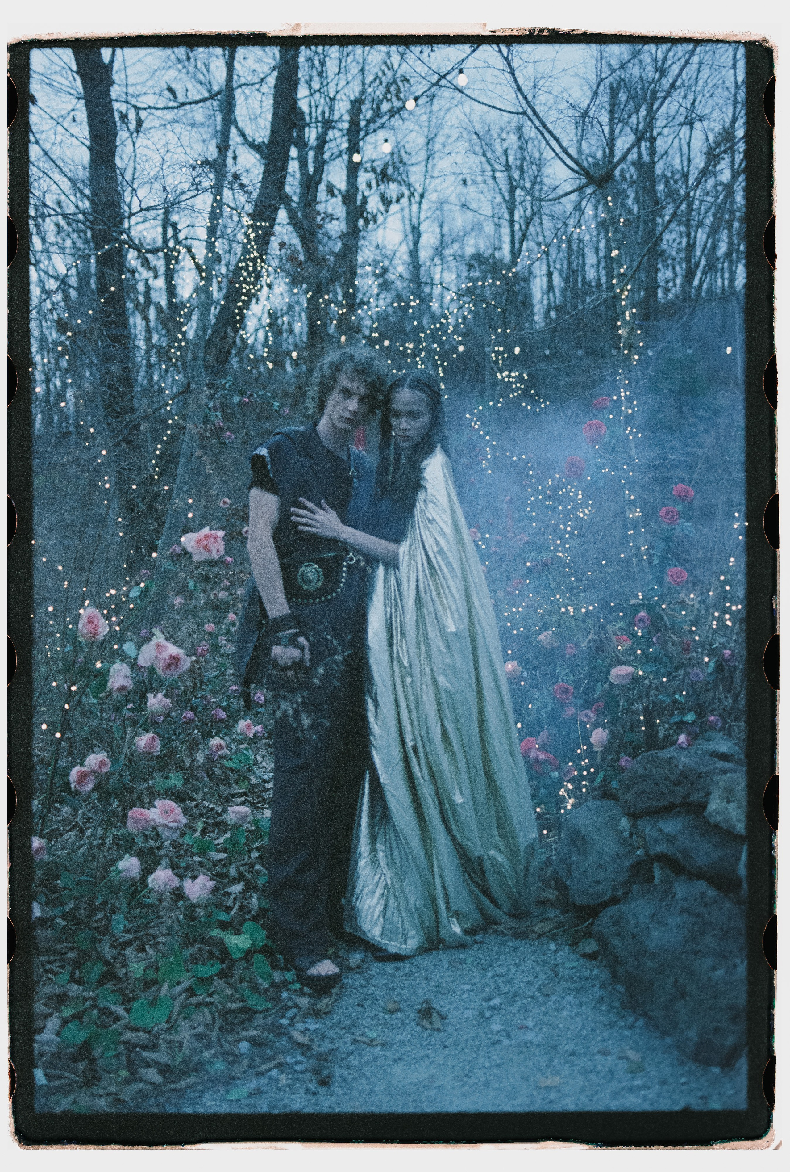 Лесной променад