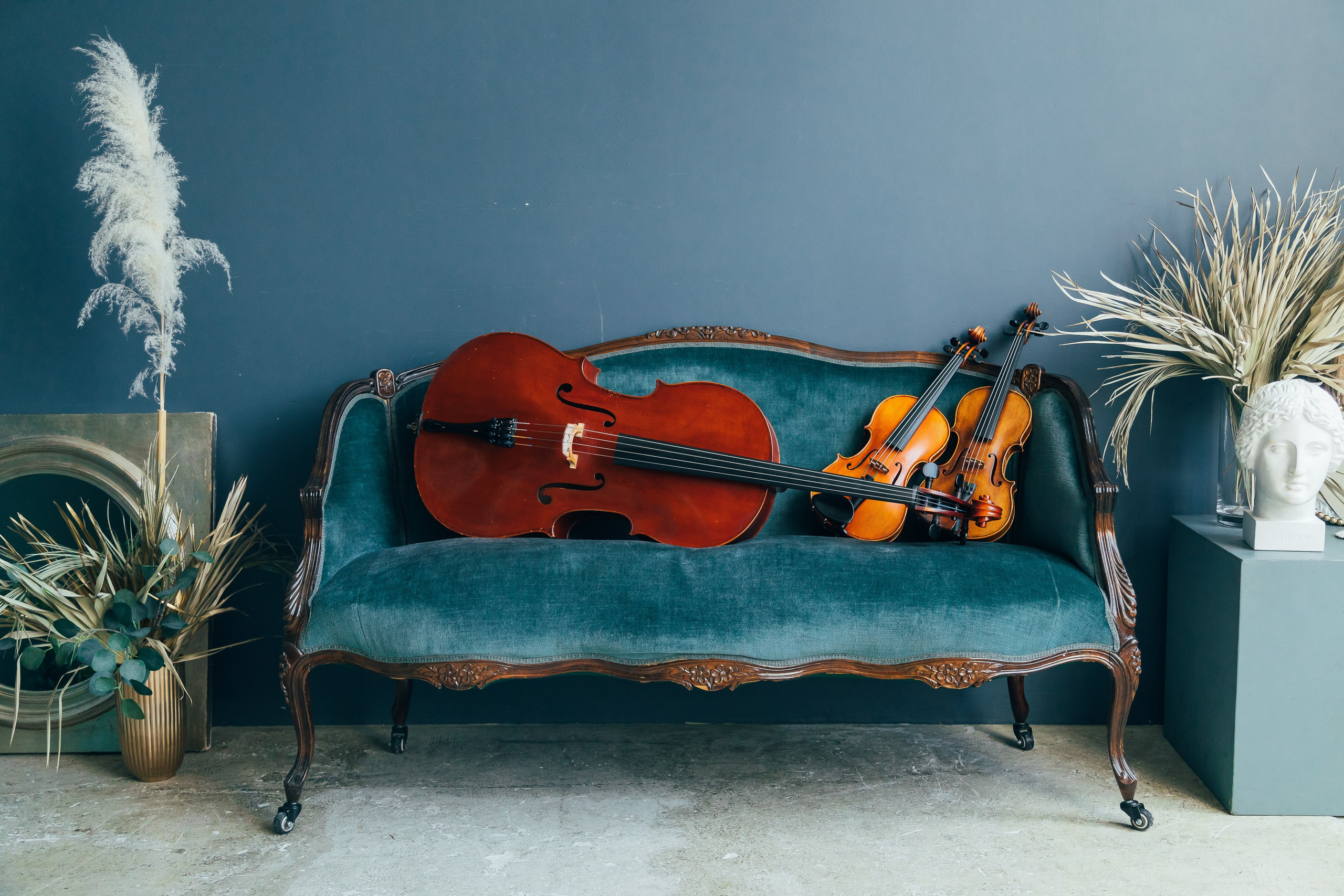 🎻. Фотограф Вика Про