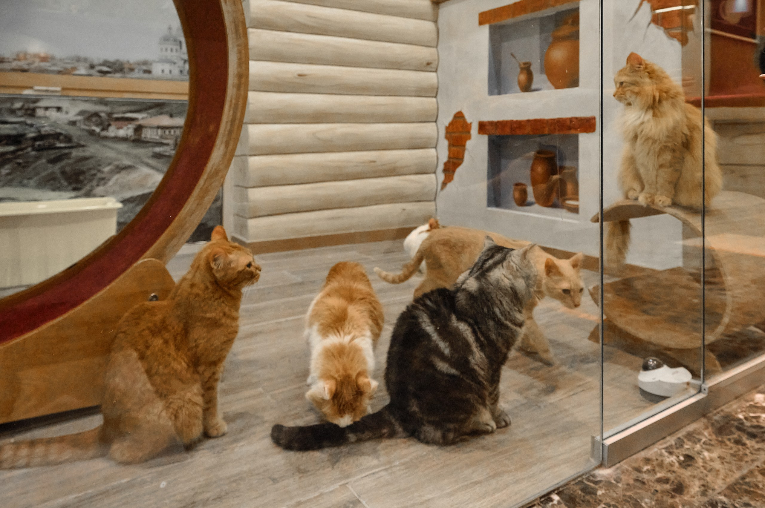 Пресс-конференция Ю.Куклачева в театре кошек