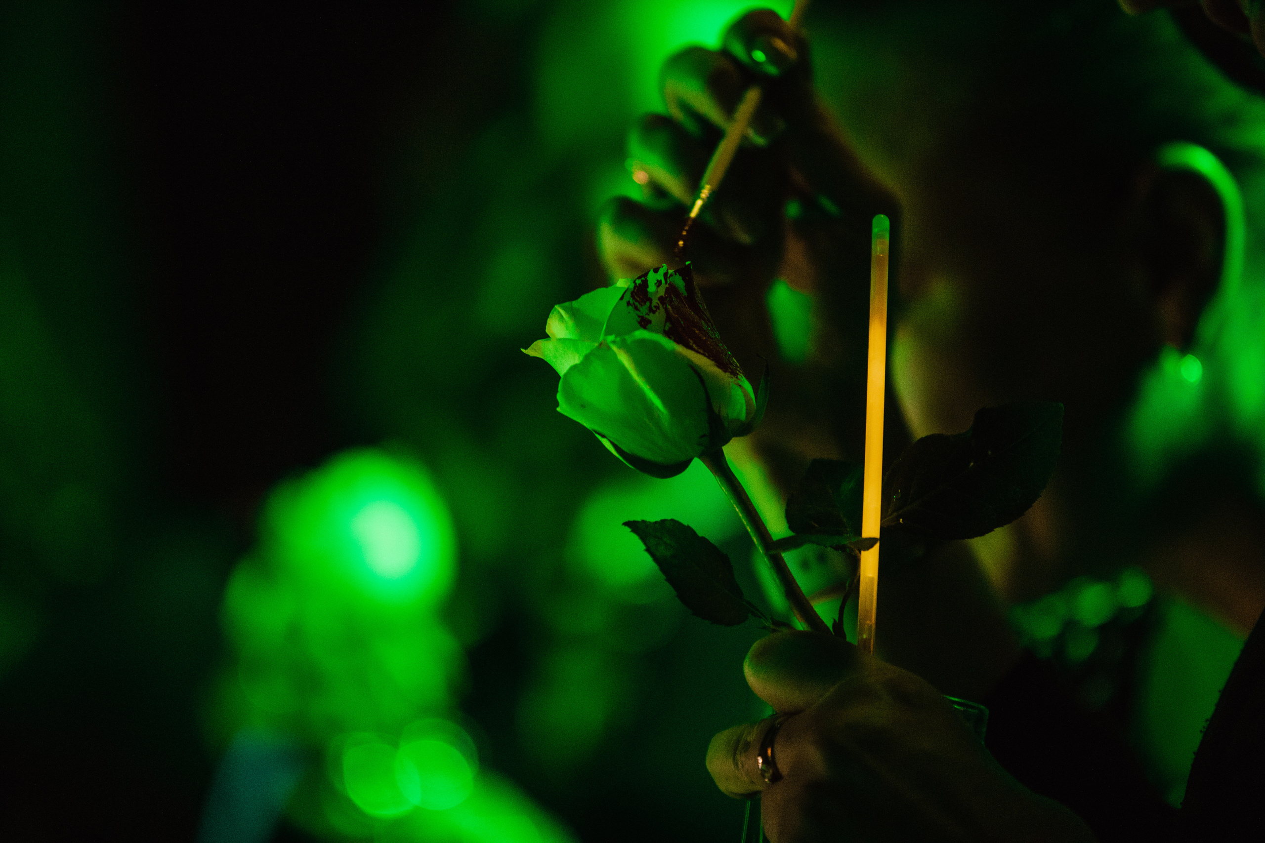 Кондитерское шоу «Алиса в Стране Чудес». Роман Урумбаев фотограф Нижневартовск