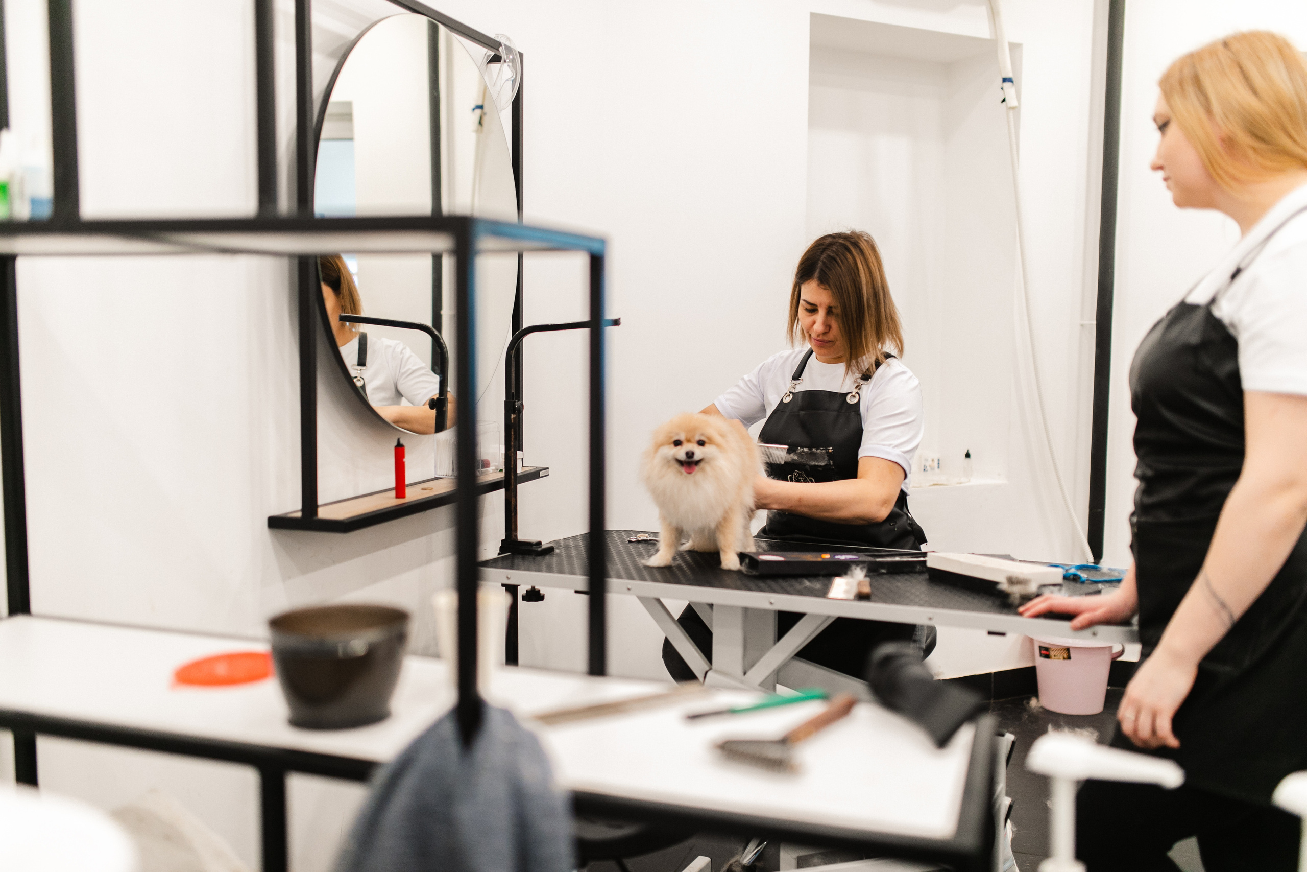 День Рождения салона «Grooming House». Роман Урумбаев фотограф Нижневартовск