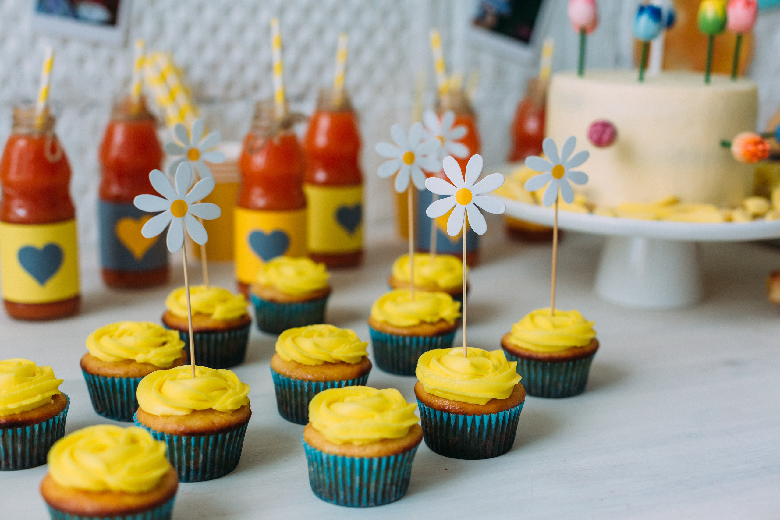 Годик Филиппу!. Coach & photographer Anna Sushkova | Valencia, Spain