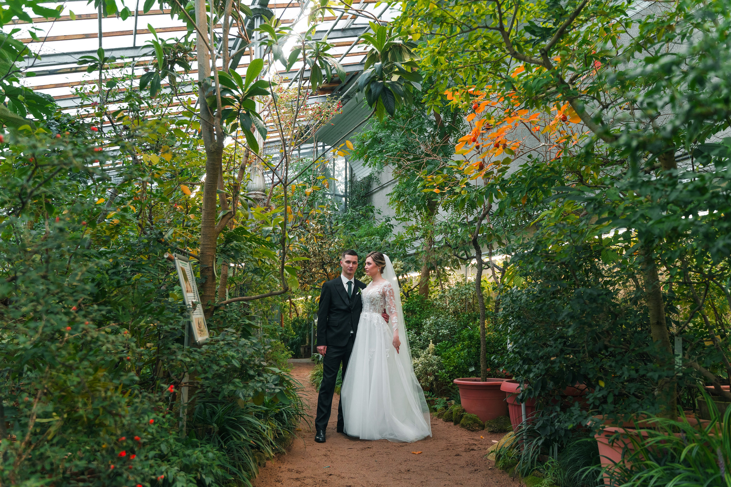 Евгений + Елена