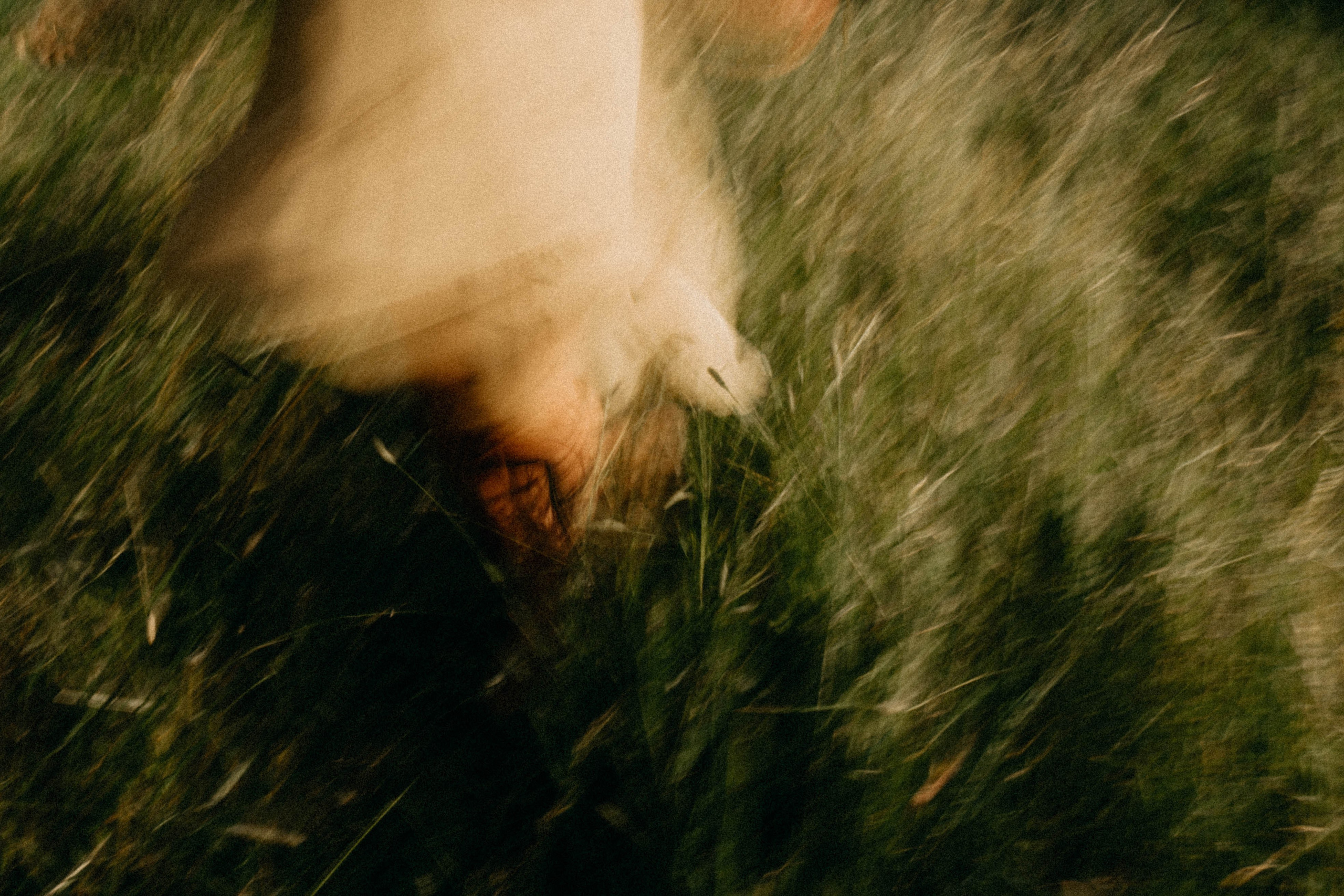 Летняя прогулка. Профессиональный фотограф, Санкт-Петербург — Виктория Богомолова
