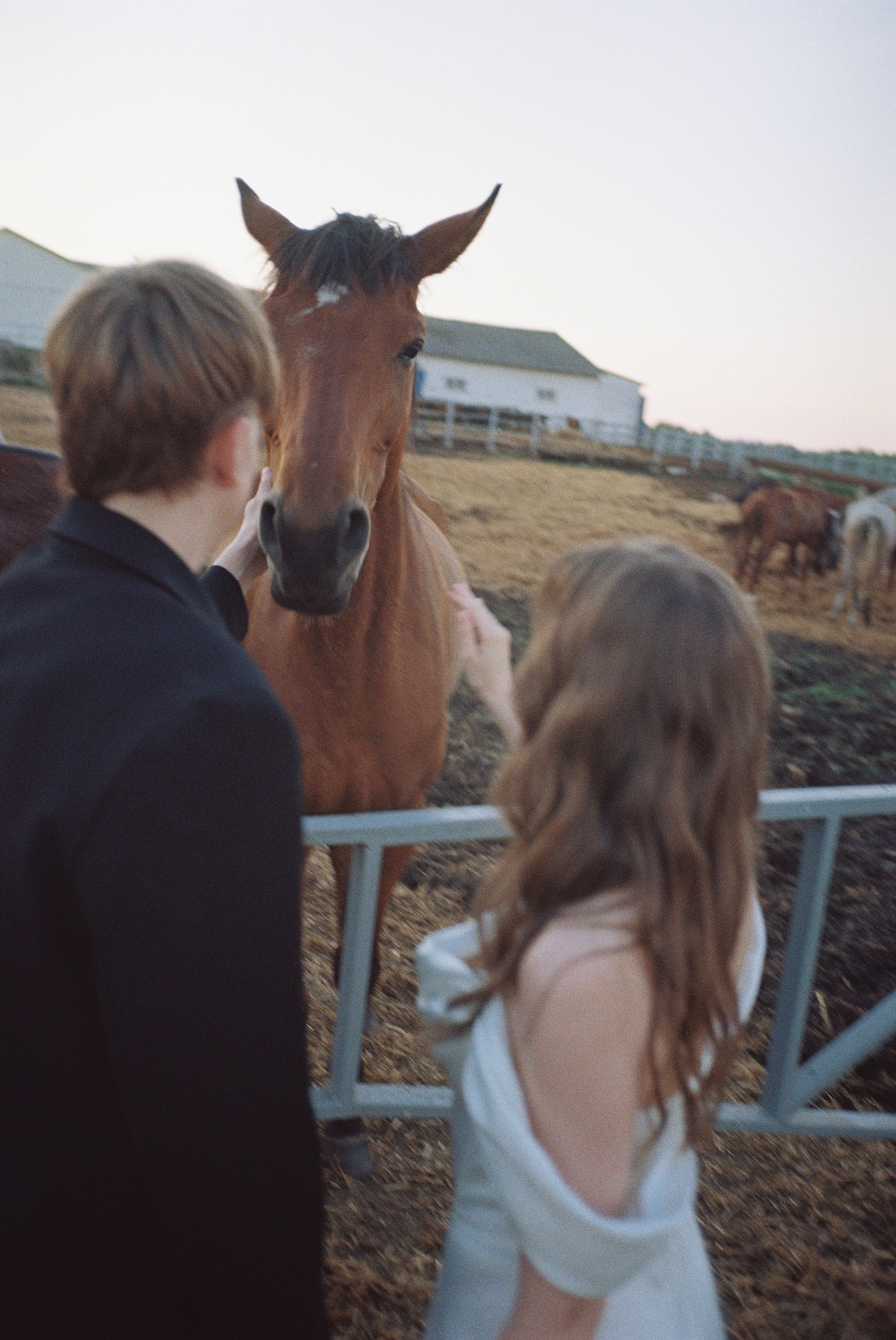 Olesya & Pavel (пленка). Свадебный фотограф Рома Родионов