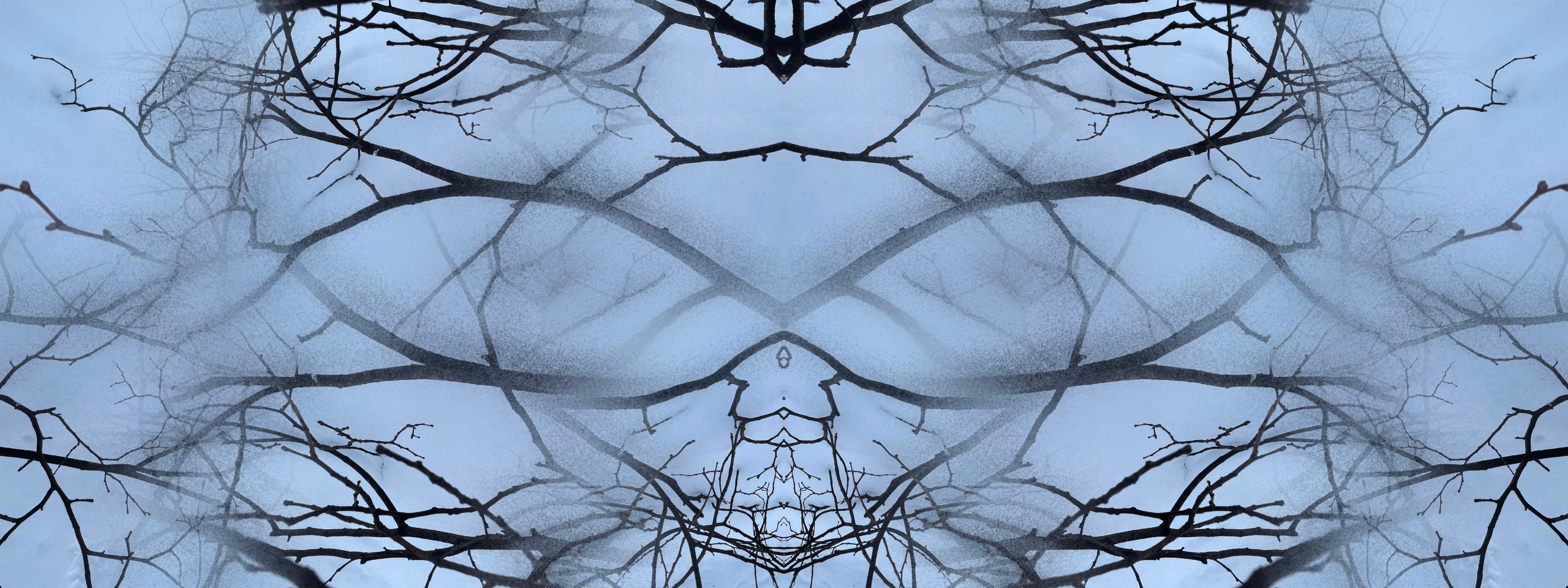 Urban flowers. Арт — фотограф Евгений Наймушин Новокузнецк