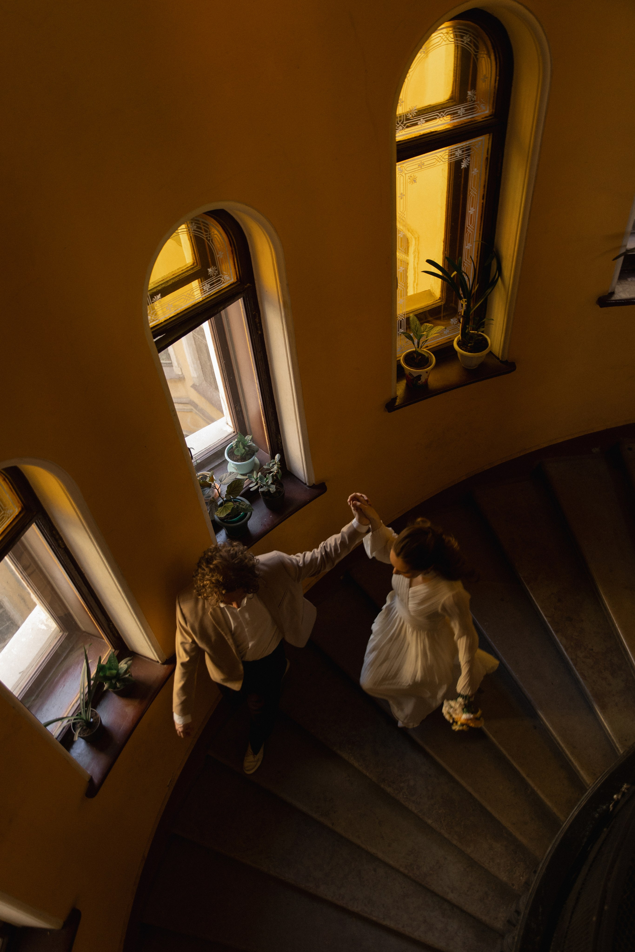 Парадная Ромашка. Фотограф Вышний Волочек/Тверь/Москва/Санкт-Петербург