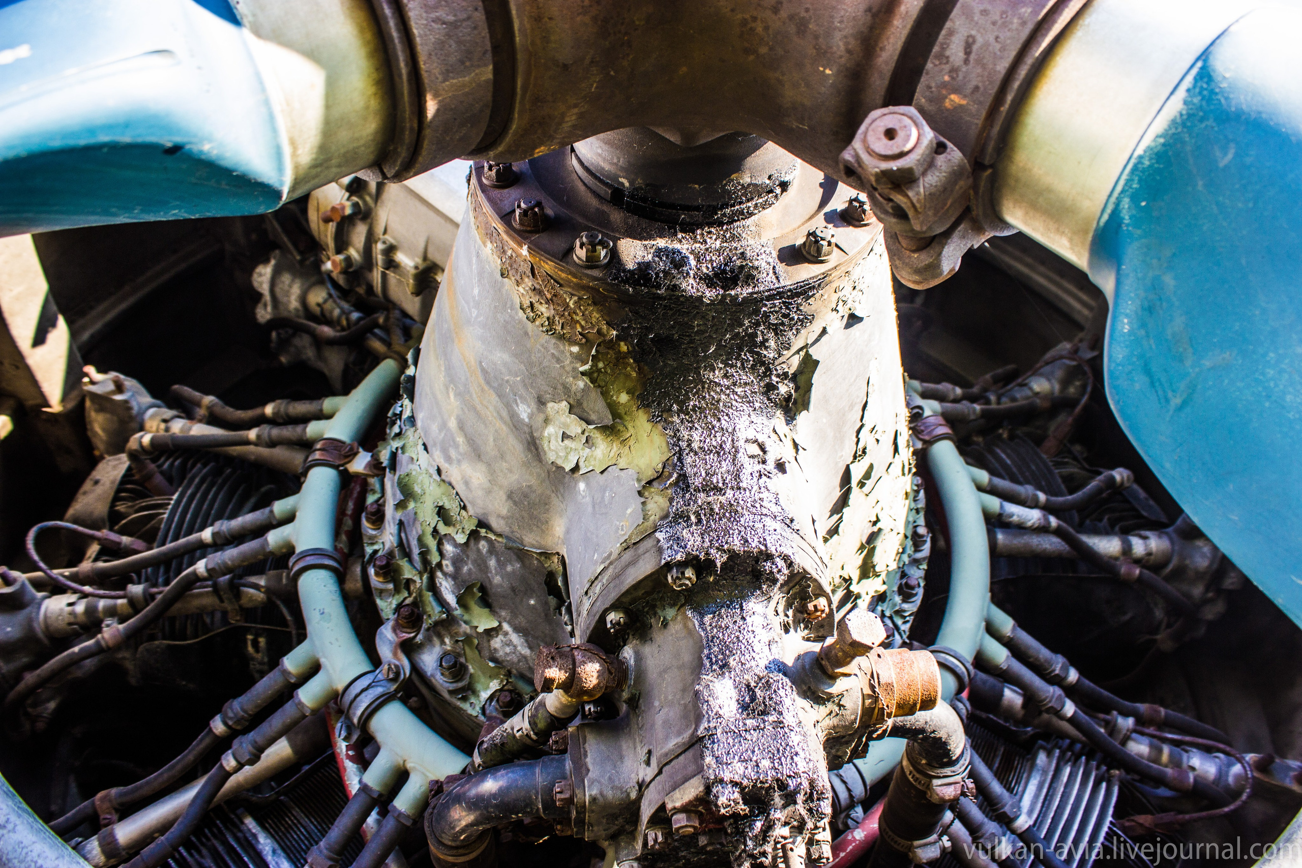 Ил-14 (Пермь, Фролы). Фотоальбом показывающий увлекательный мир авиации и мир медведей Андрея Иванова