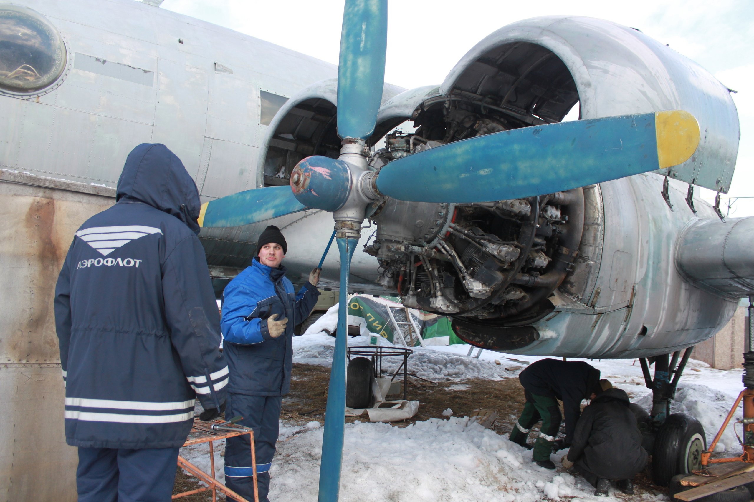 Ил-14Т «Голубая Мечта» работы в Тушино (2011 г.). Фотоальбом показывающий увлекательный мир авиации и мир медведей Андрея Иванова