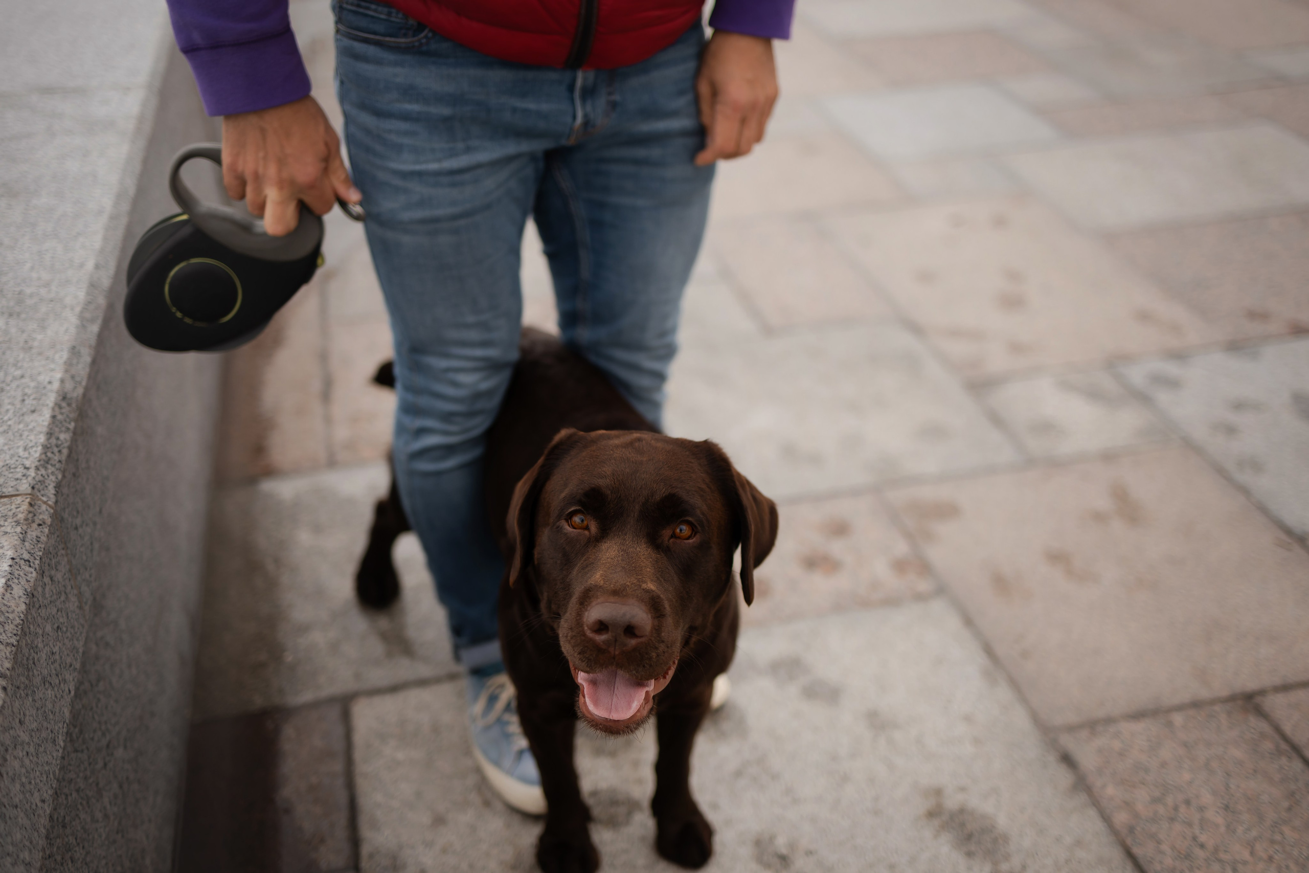 Фотосессия в центре Севастополя. Фотограф-анималист в Краснодаре Маша Мельникова