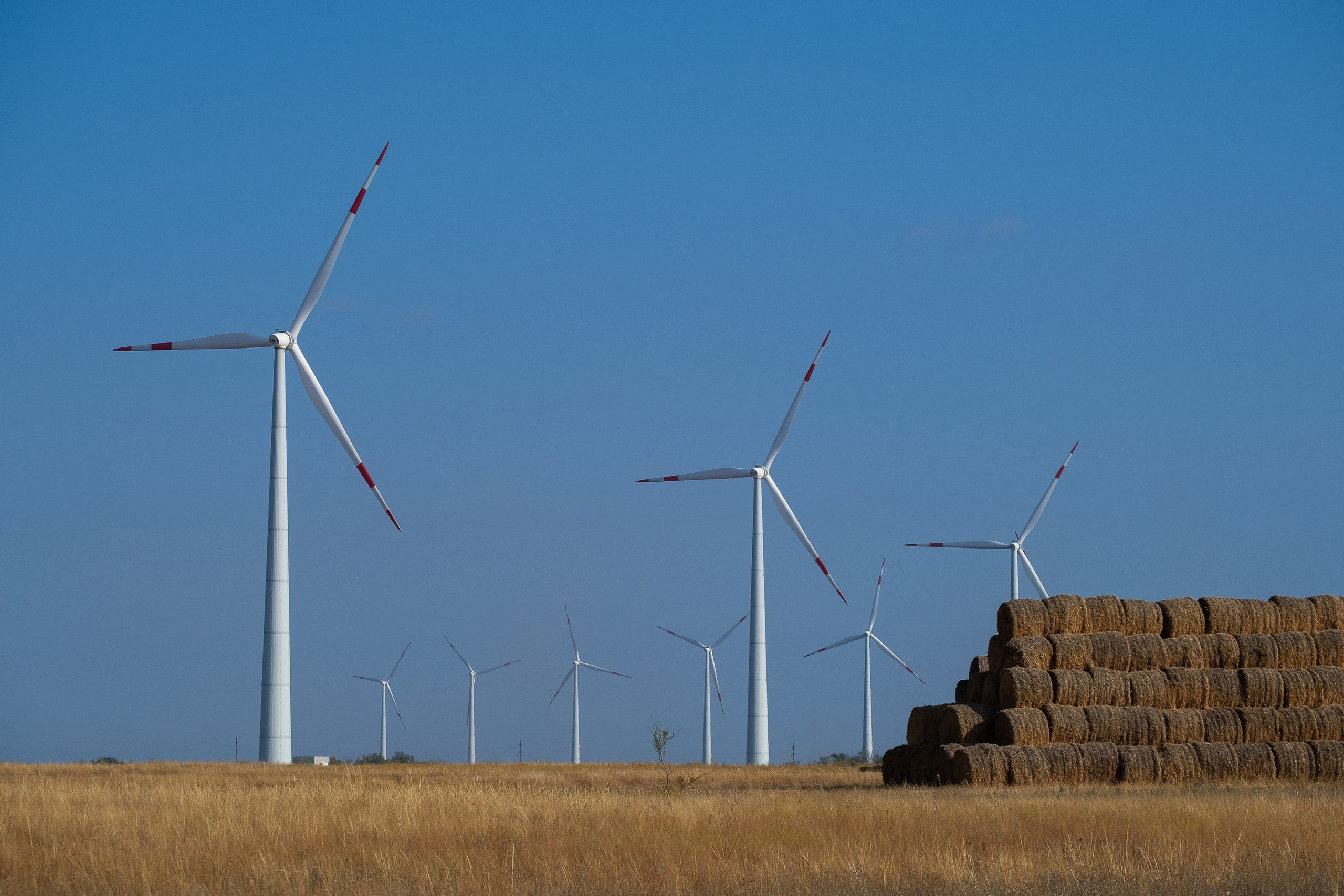 Дмитрий Шишкин